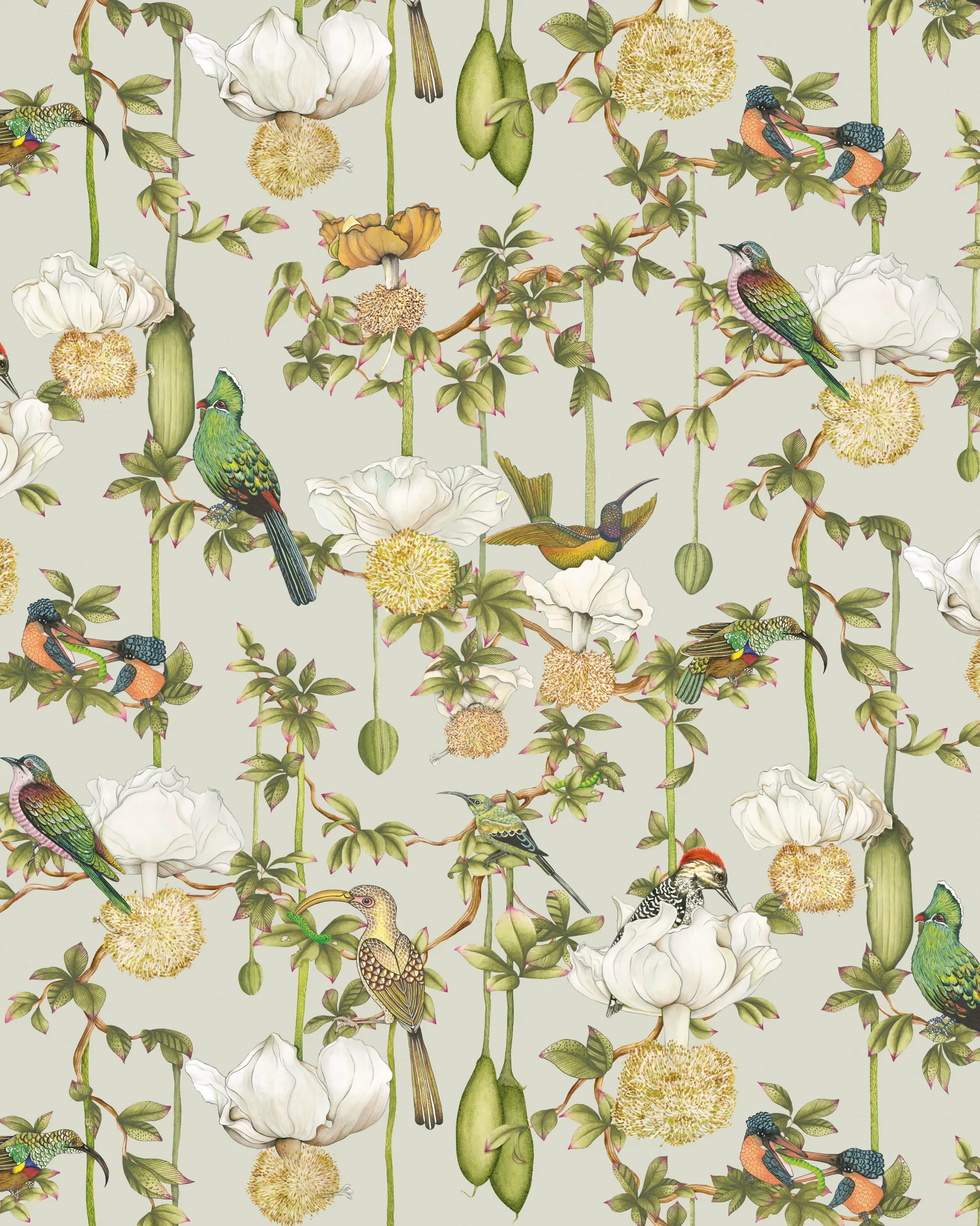 Cole & Son Baobab Botanica in Duck Egg (129/2006.CS.0)