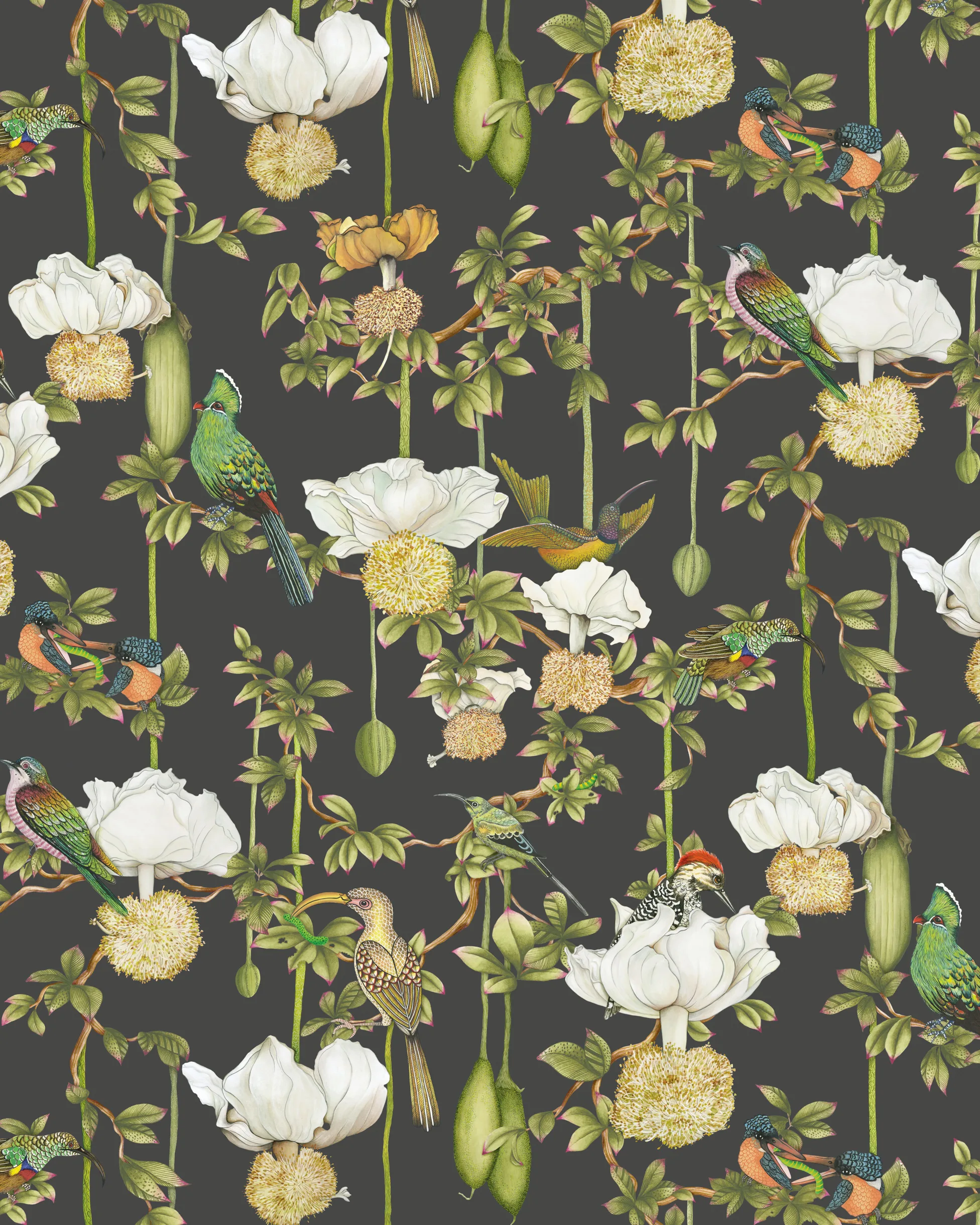 Cole & Son Baobab Botanica in Onyx (129/2009.CS.0)