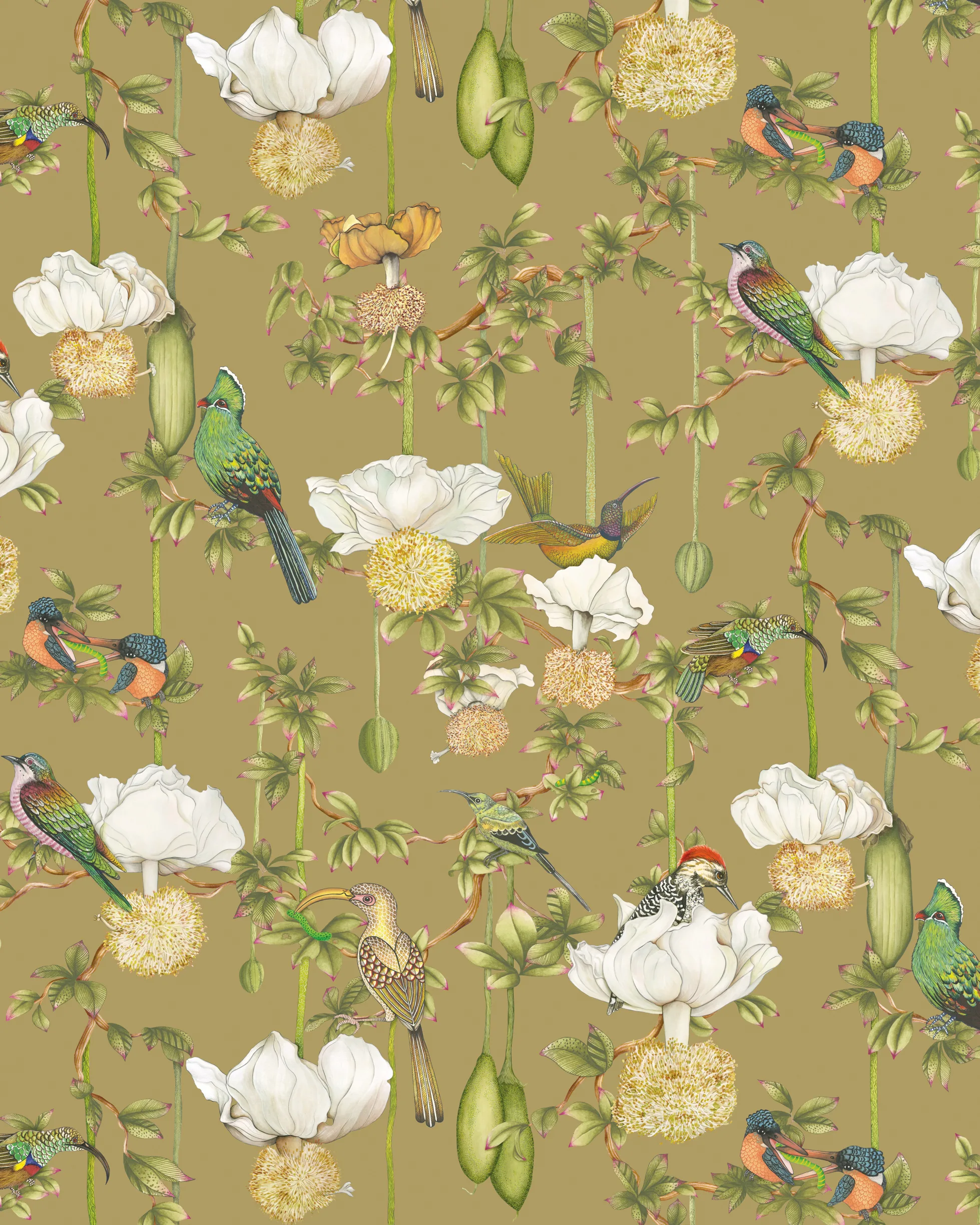 Cole & Son Baobab Botanica in Safari (129/2008.CS.0)