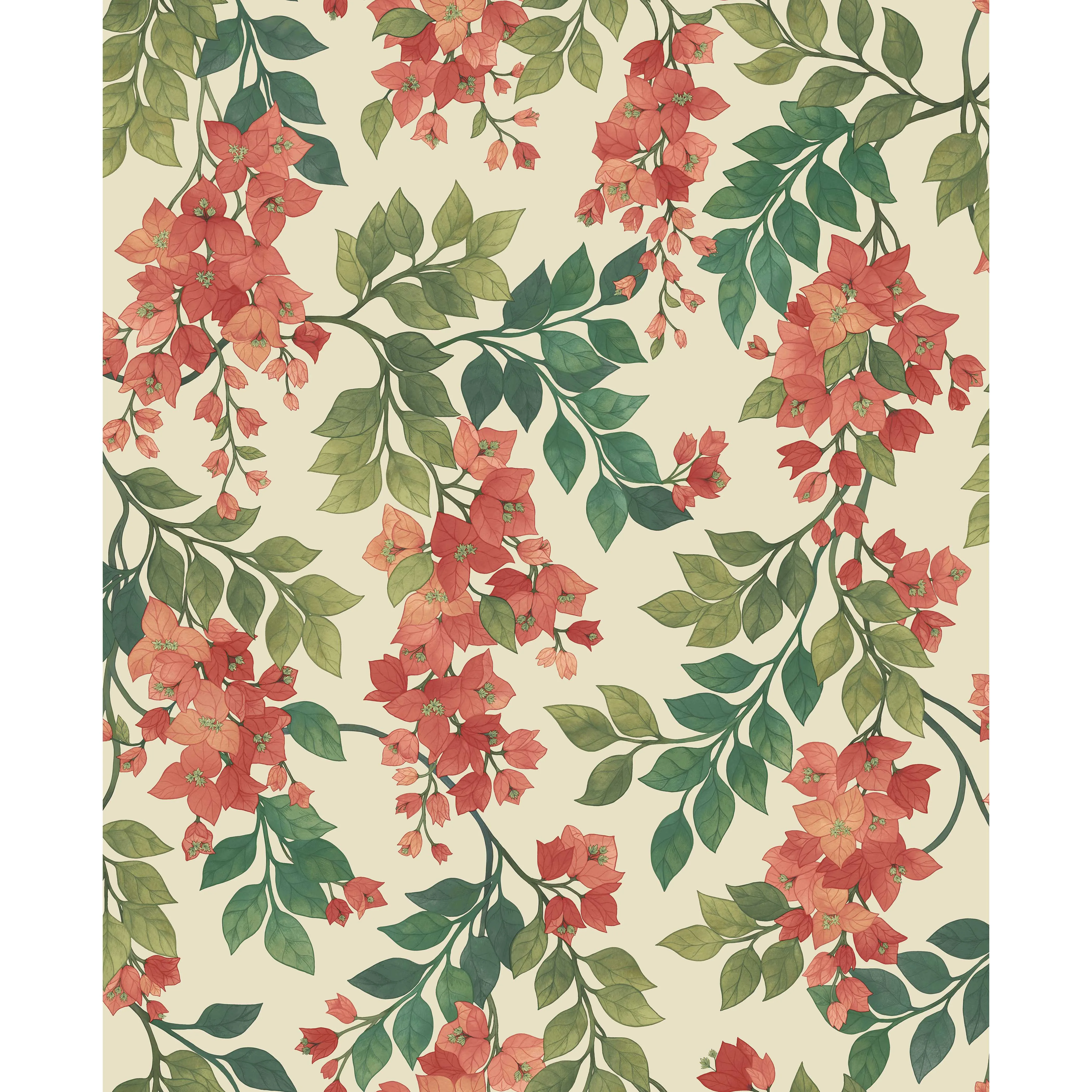 Cole & Son Bougainvillea in Rouge/Olive Grn/Emerald/Crm (117/6016.CS.0)