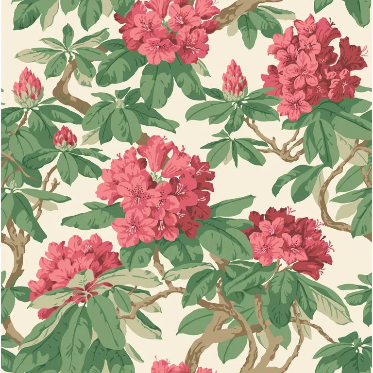 Cole & Son Bourlie in Carmine (99/4019.CS.0)