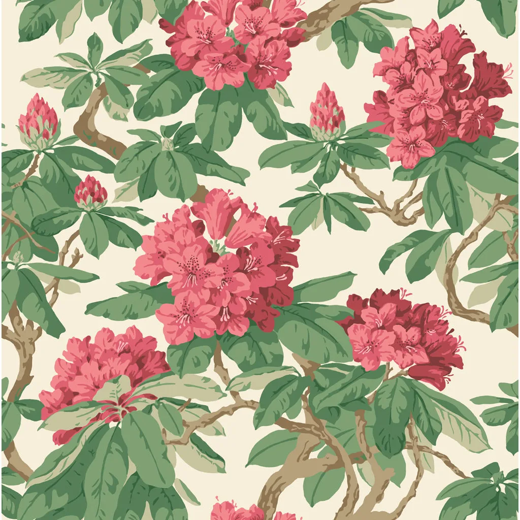 Cole & Son Bourlie in Carmine (99/4019.CS.0)