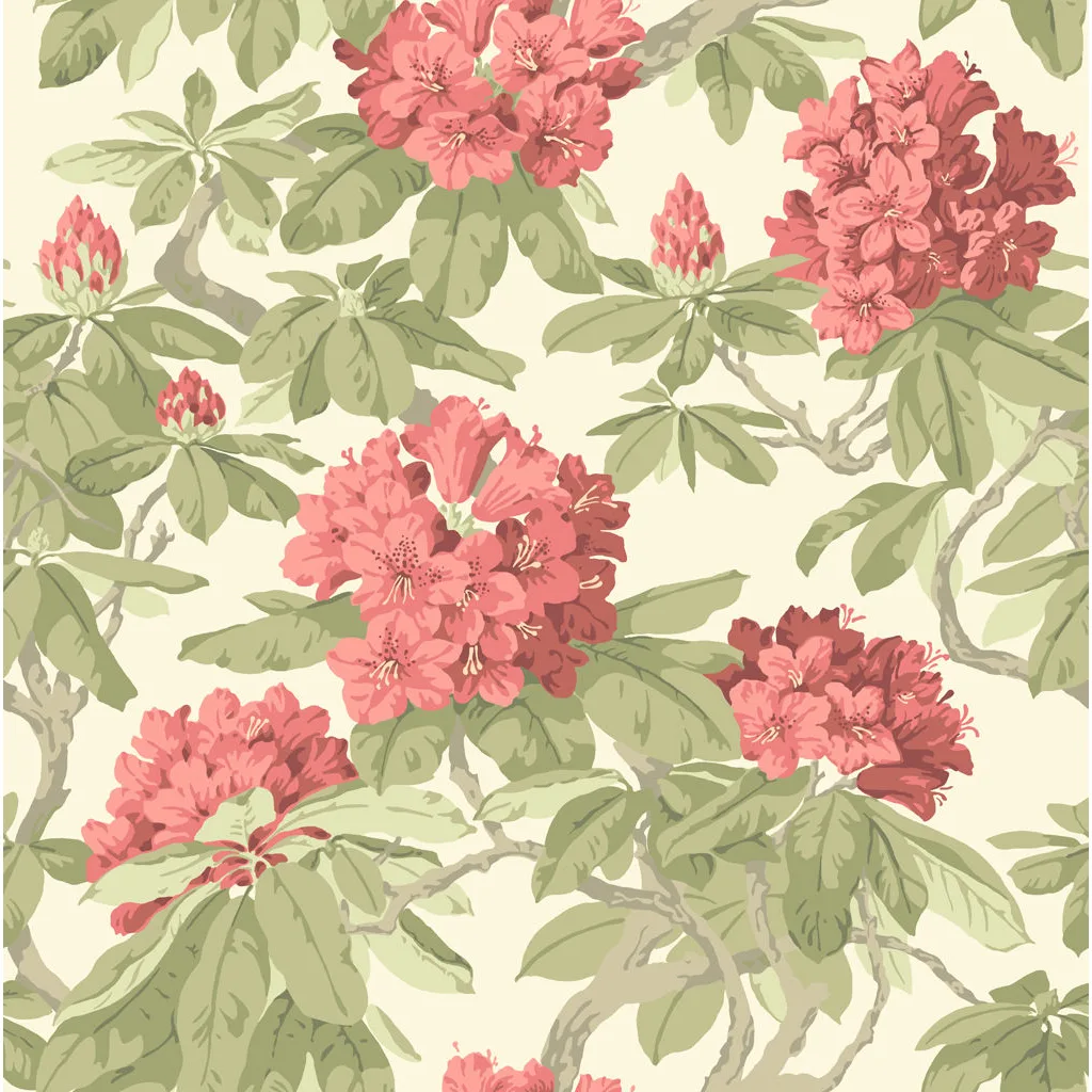 Cole & Son Bourlie in Coral (99/4020.CS.0)