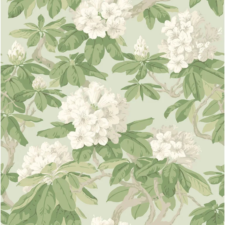 Cole & Son Bourlie in Duck Egg (99/4022.CS.0)