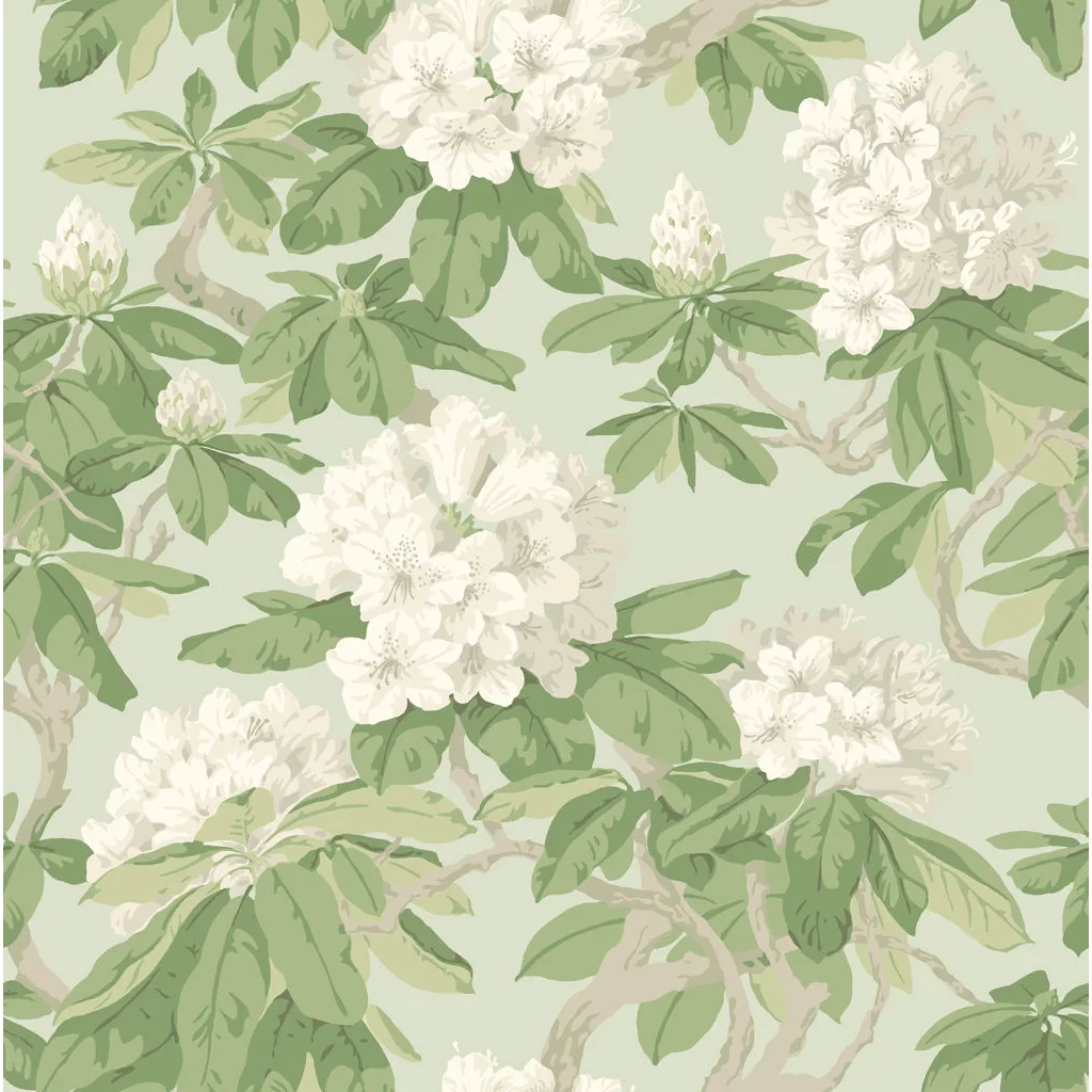 Cole & Son Bourlie in Duck Egg (99/4022.CS.0)