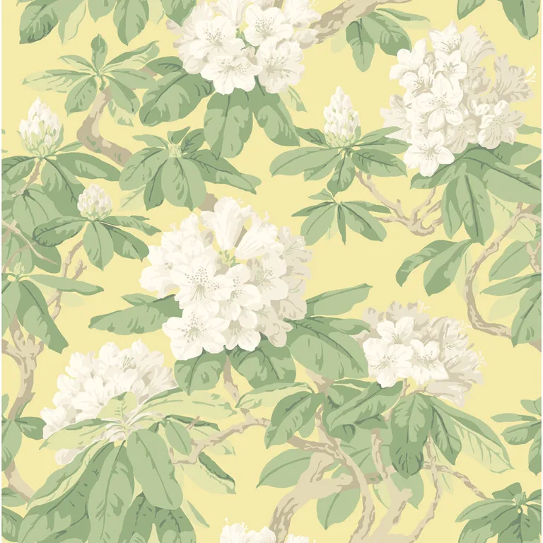 Cole & Son Bourlie in Pale Lemon (99/4021.CS.0)
