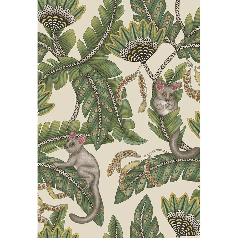 Cole & Son Bush Baby in Sge&chrt/Prchmnt (119/7035.CS.0)