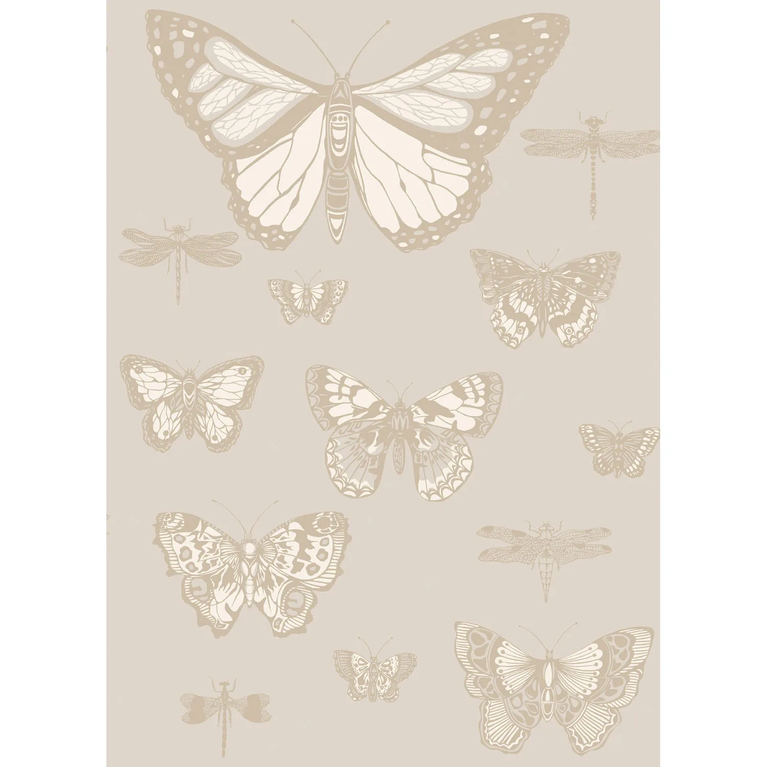 Cole & Son Butterflies & Dragonflies in Grey (103/15064.CS.0)