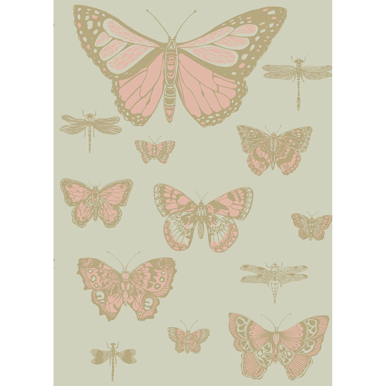 Cole & Son Butterflies & Dragonflies in Pink on Oliv (103/15063.CS.0)