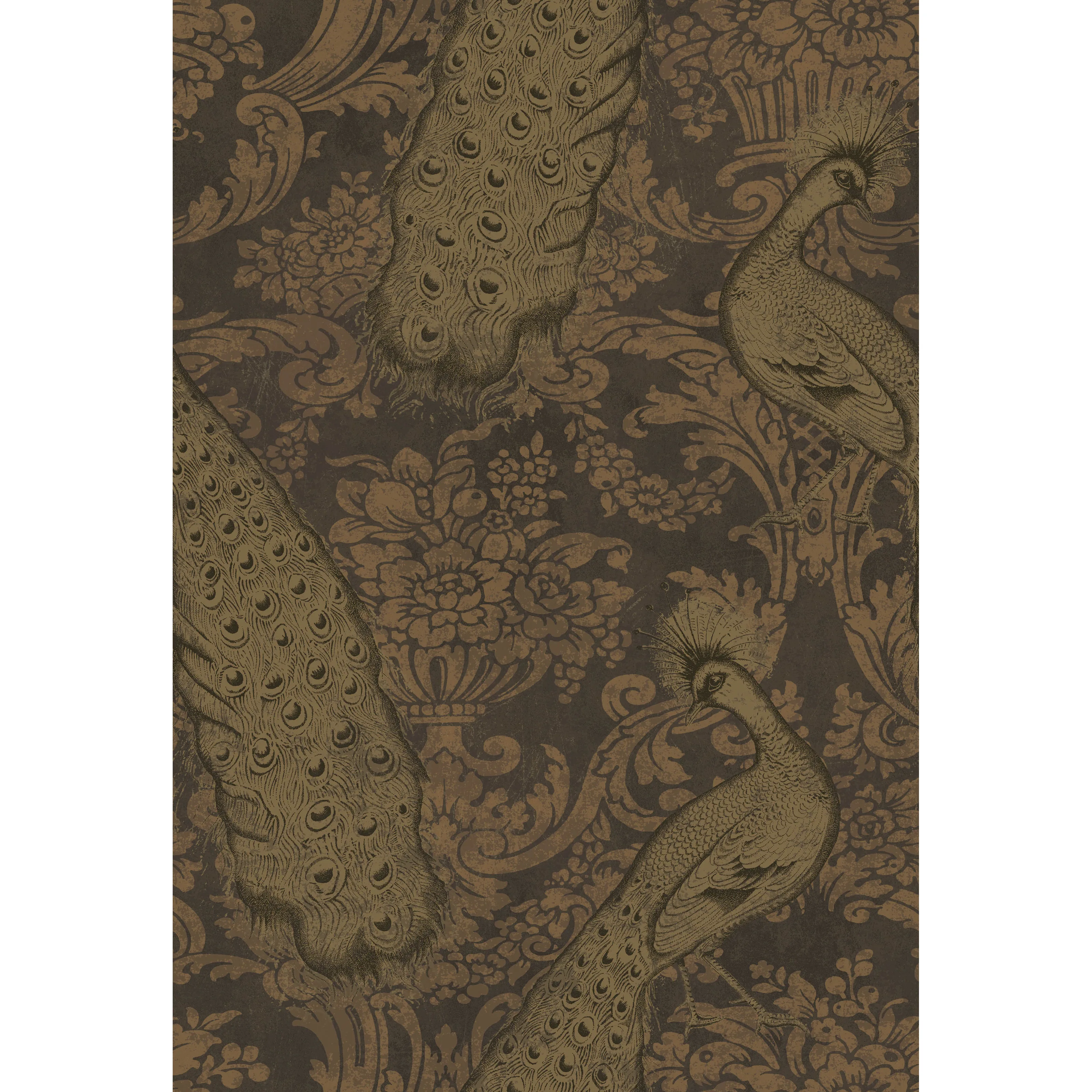 Cole & Son Byron in Black and Gold (94/7036.CS.0)