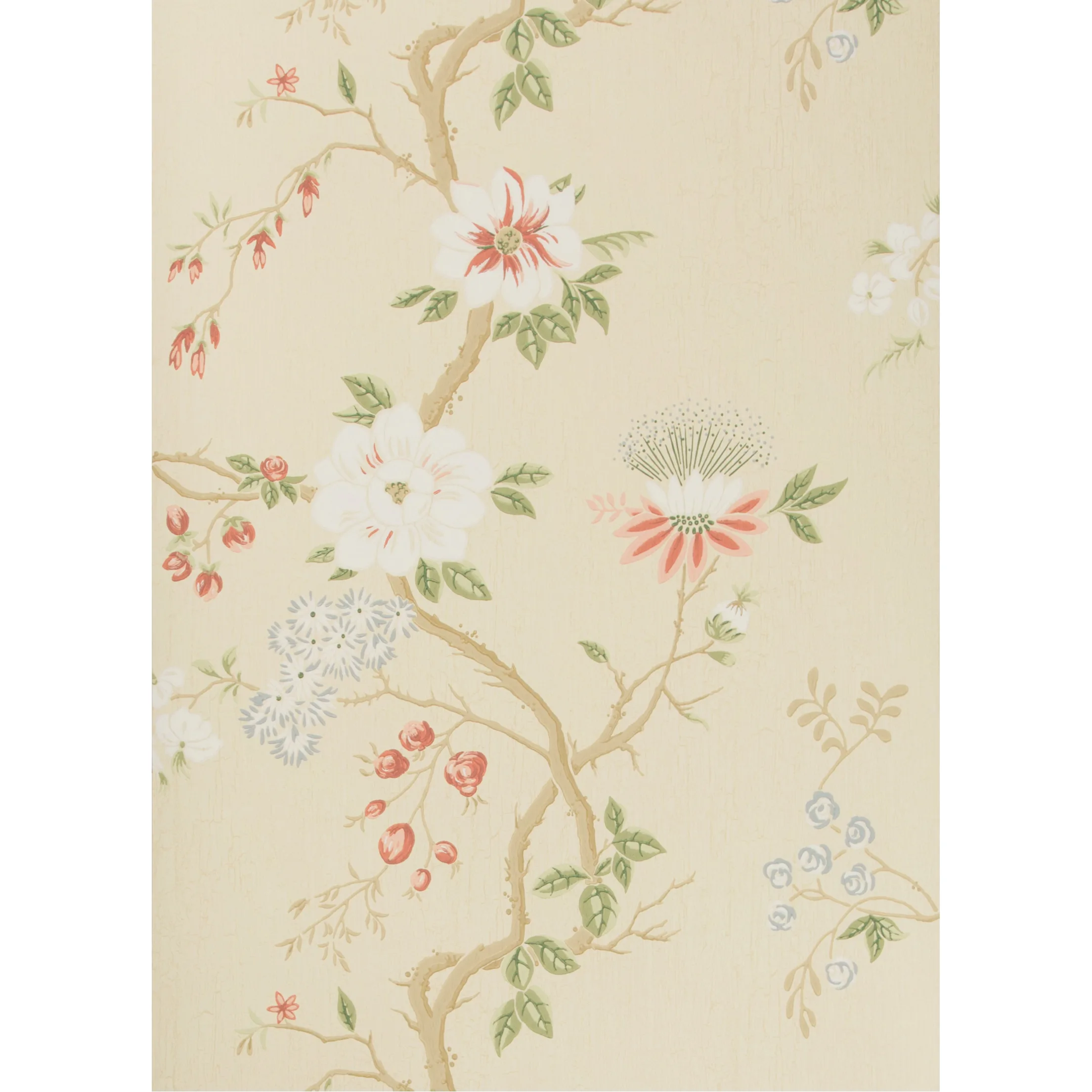 Cole & Son Camellia in Coral/Sage/Butterc (115/8023.CS.0)