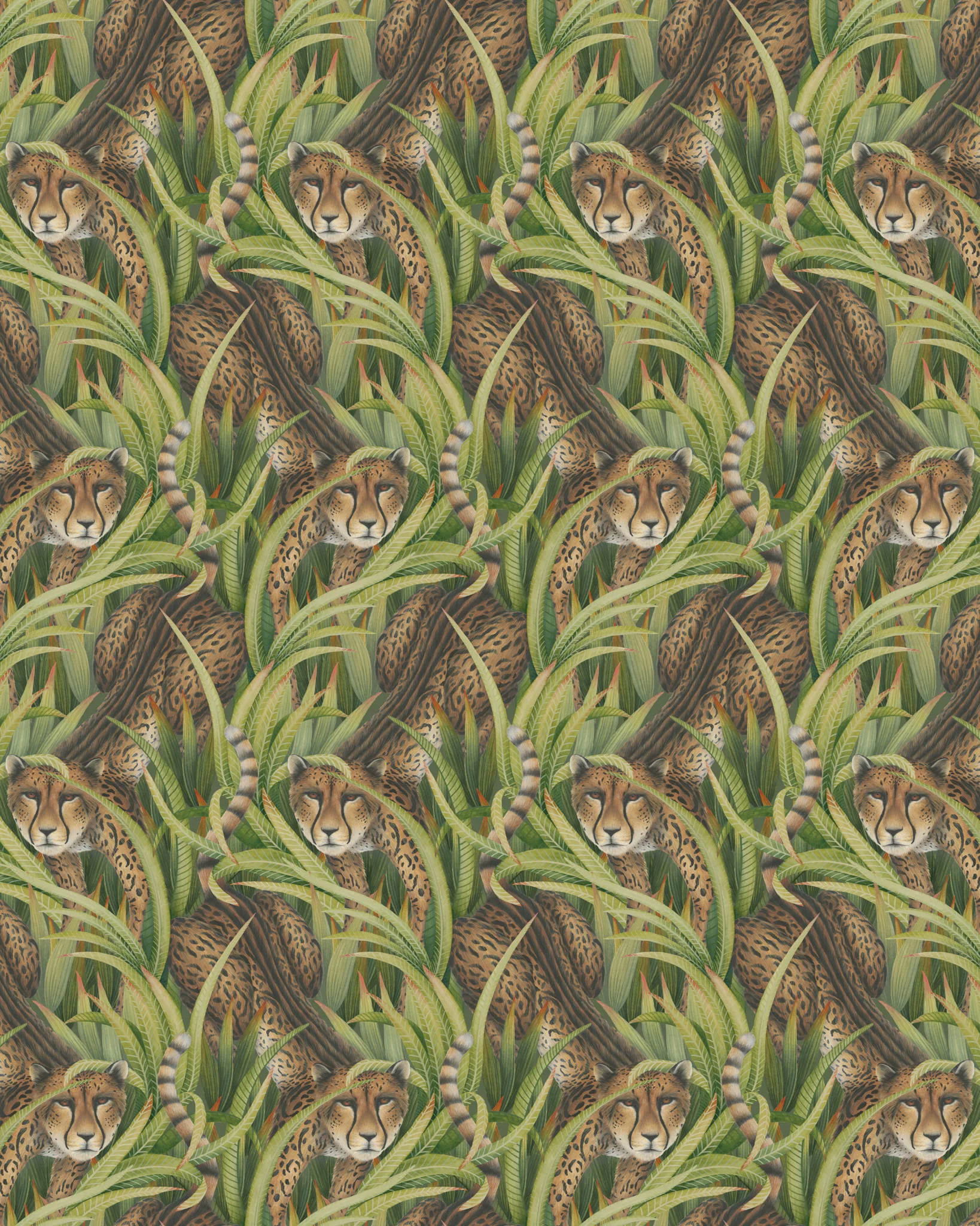 129/8042.CS.0 | Cheetah Prowl – Grass
