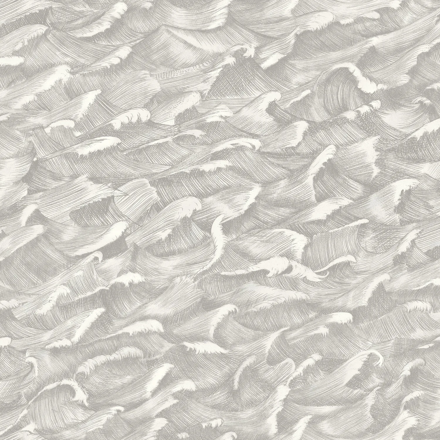Cole & Son Columbus in Black &White (103/13055.CS.0)