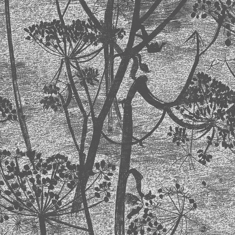 Cole & Son Cow Parsley in Charcoal (112/8026.CS.0)