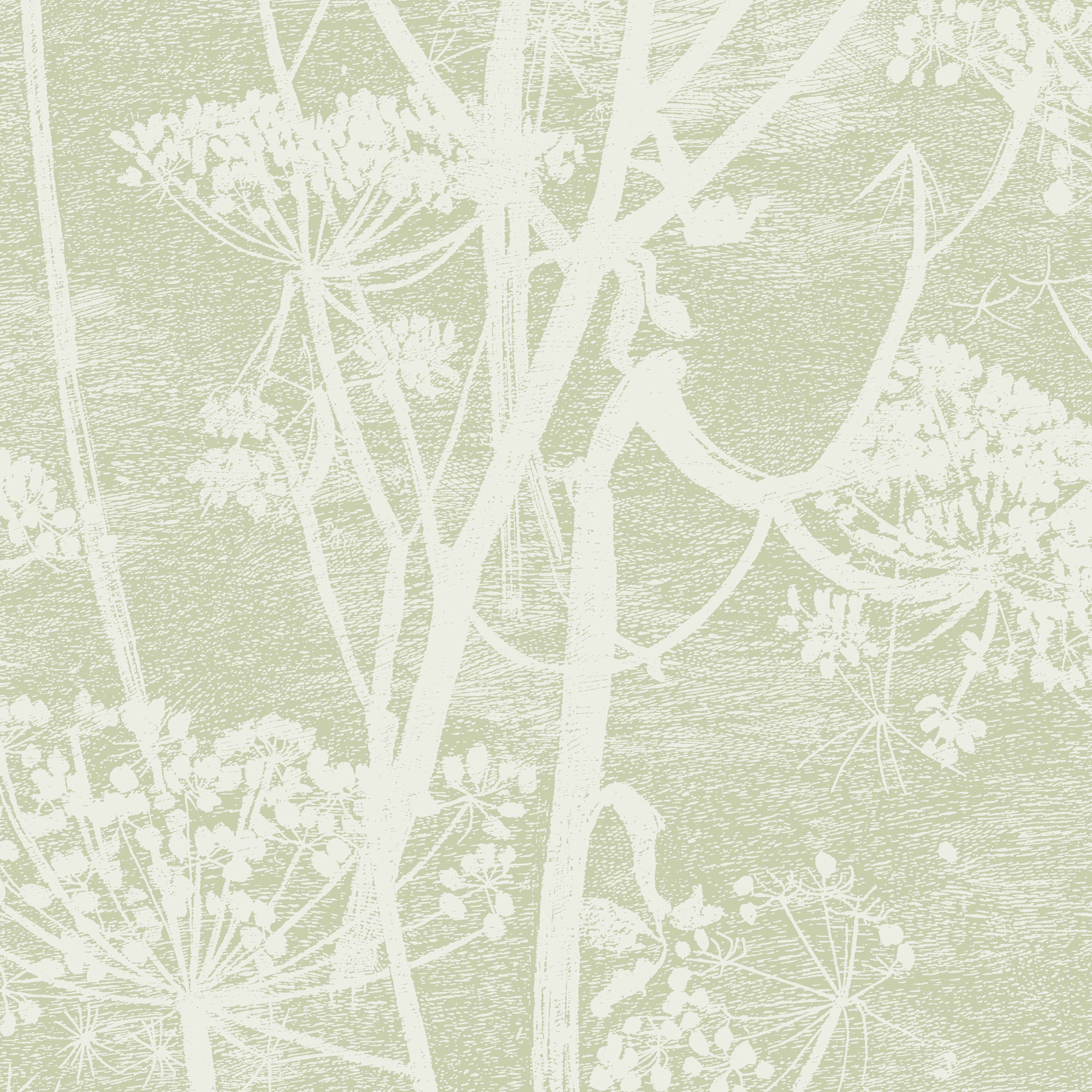 Cole & Son Cow Parsley in Olive (112/8029.CS.0)