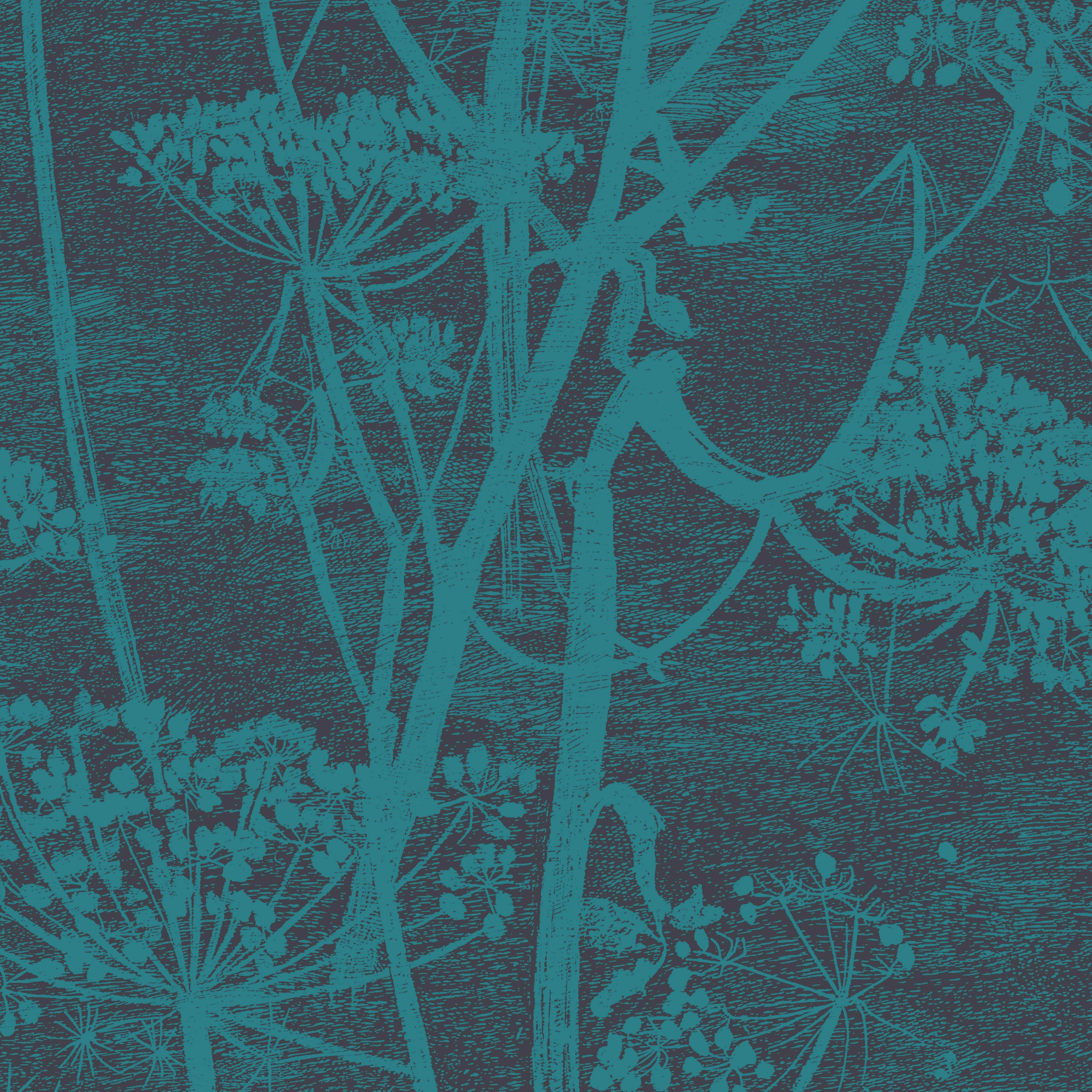 Cole & Son Cow Parsley in Teal (112/8030.CS.0)