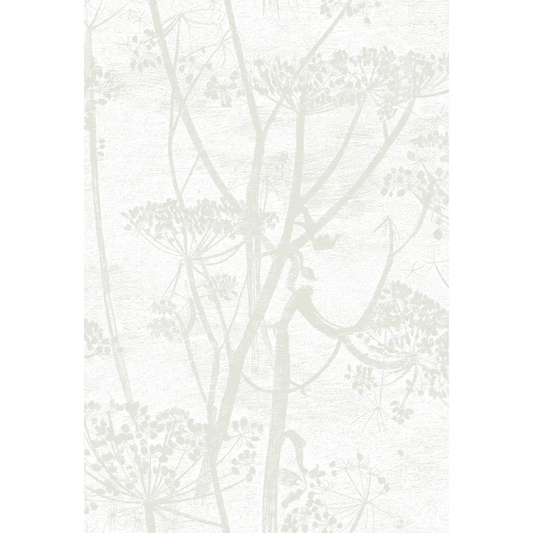 Cole & Son Cow Parsley in White (95/9052.CS.0)