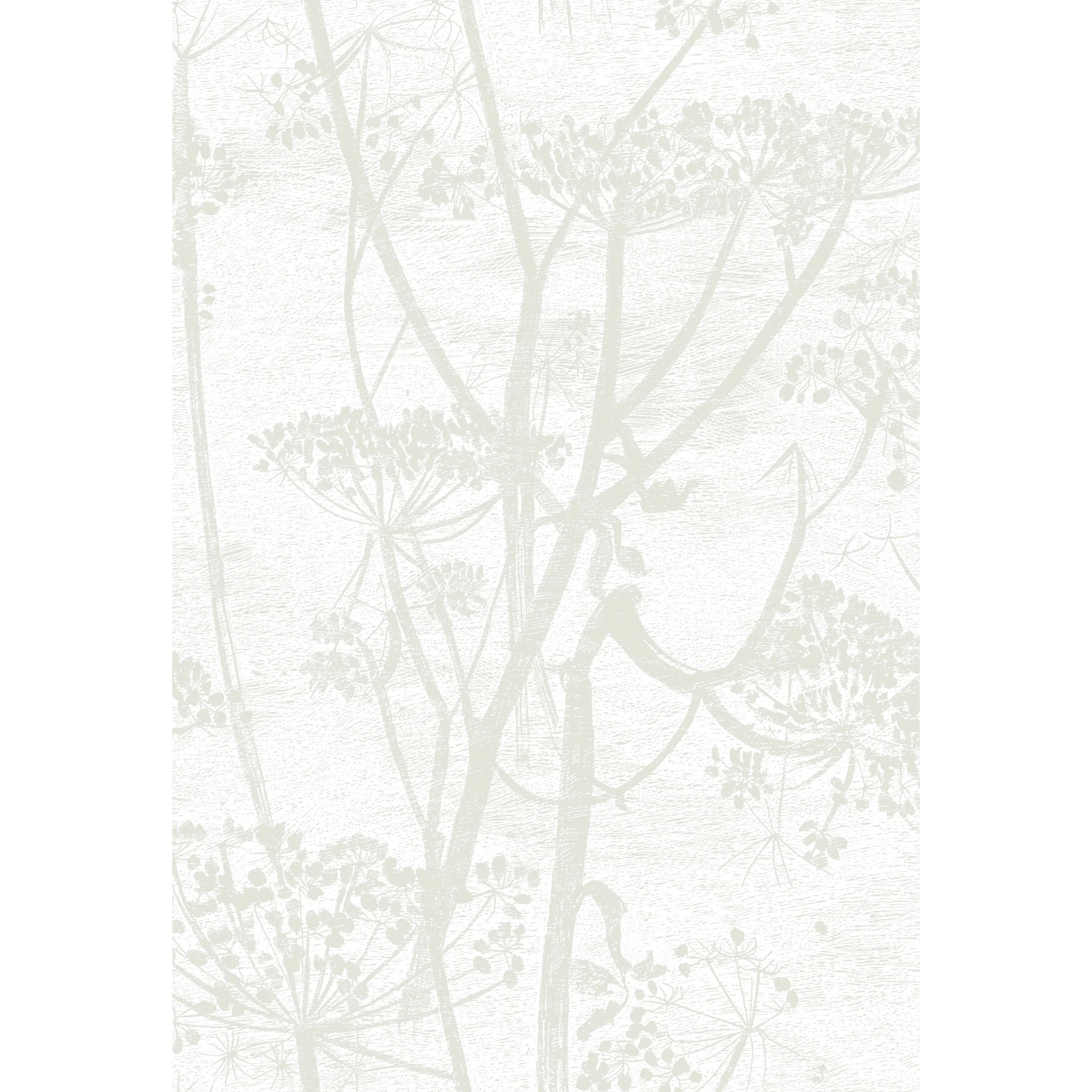 Cole & Son Cow Parsley in White (95/9052.CS.0)