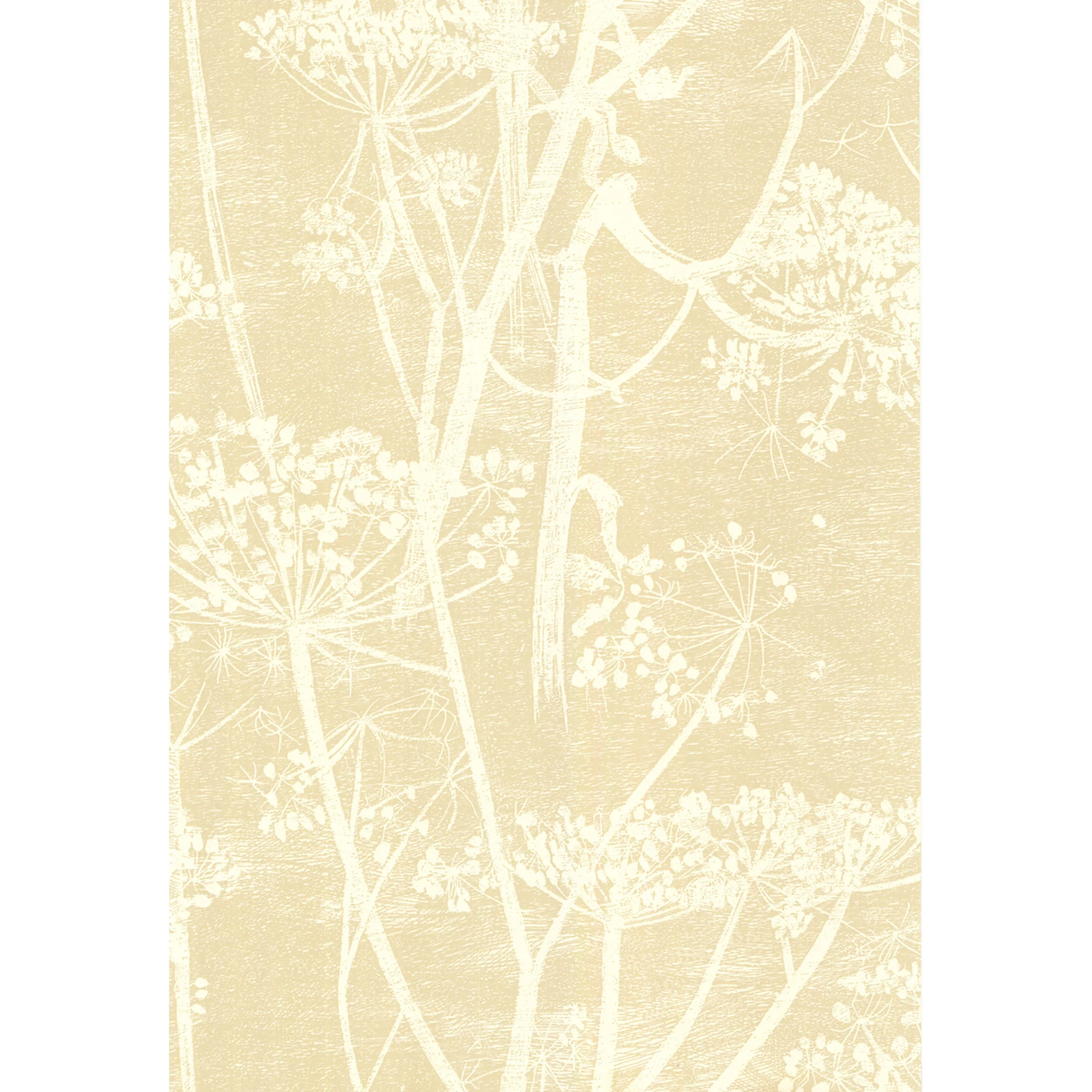 66/7049.CS.0 | Cow Parsley – White/Bge
