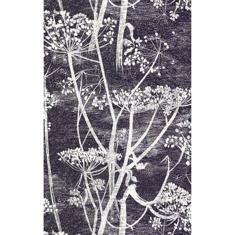 Cole & Son Cow Parsley in White/Blk (66/7046.CS.0)