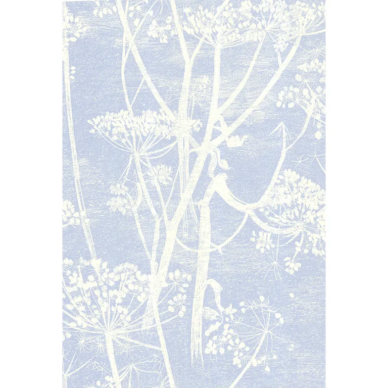 Cole & Son Cow Parsley in White/Blu (66/7050.CS.0)
