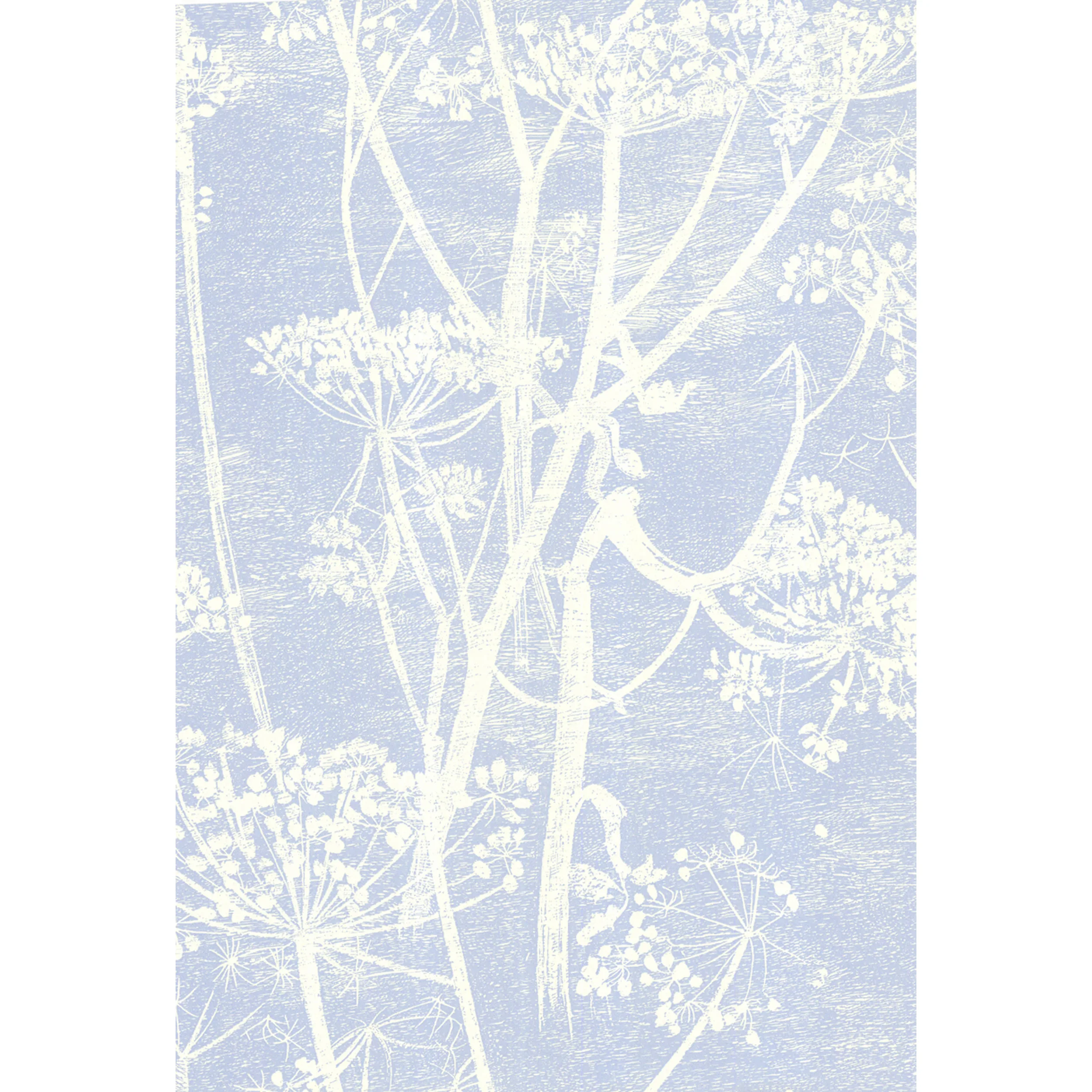 66/7050.CS.0 | Cow Parsley – White/Blu