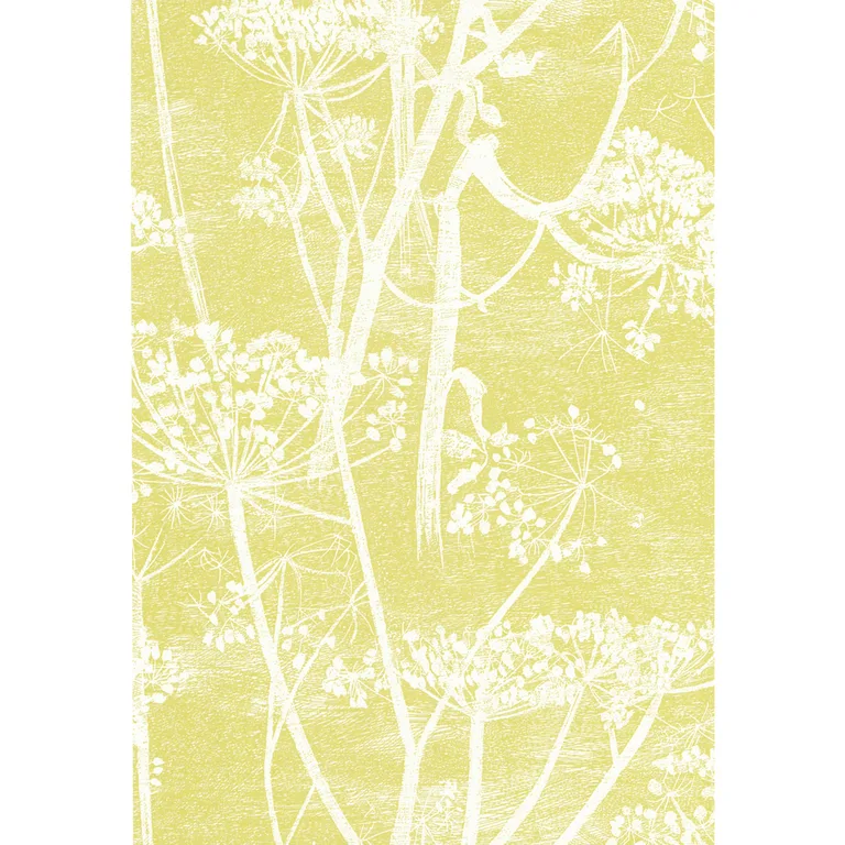 Cole & Son Cow Parsley in White/Y (66/7051.CS.0)