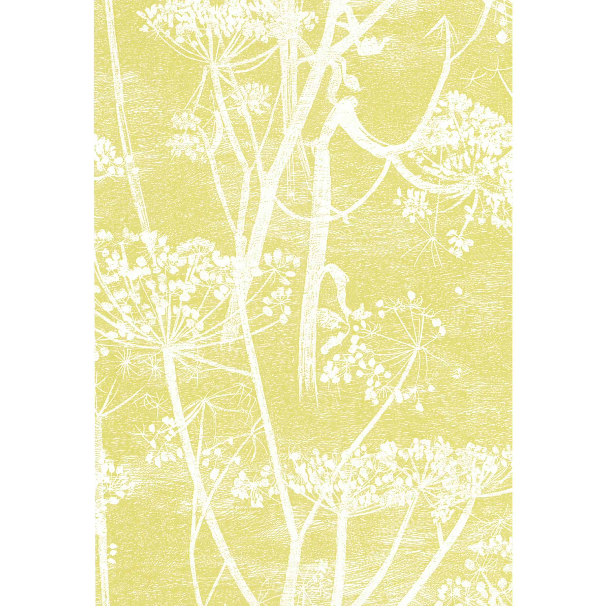 66/7051.CS.0 | Cow Parsley – White/Y
