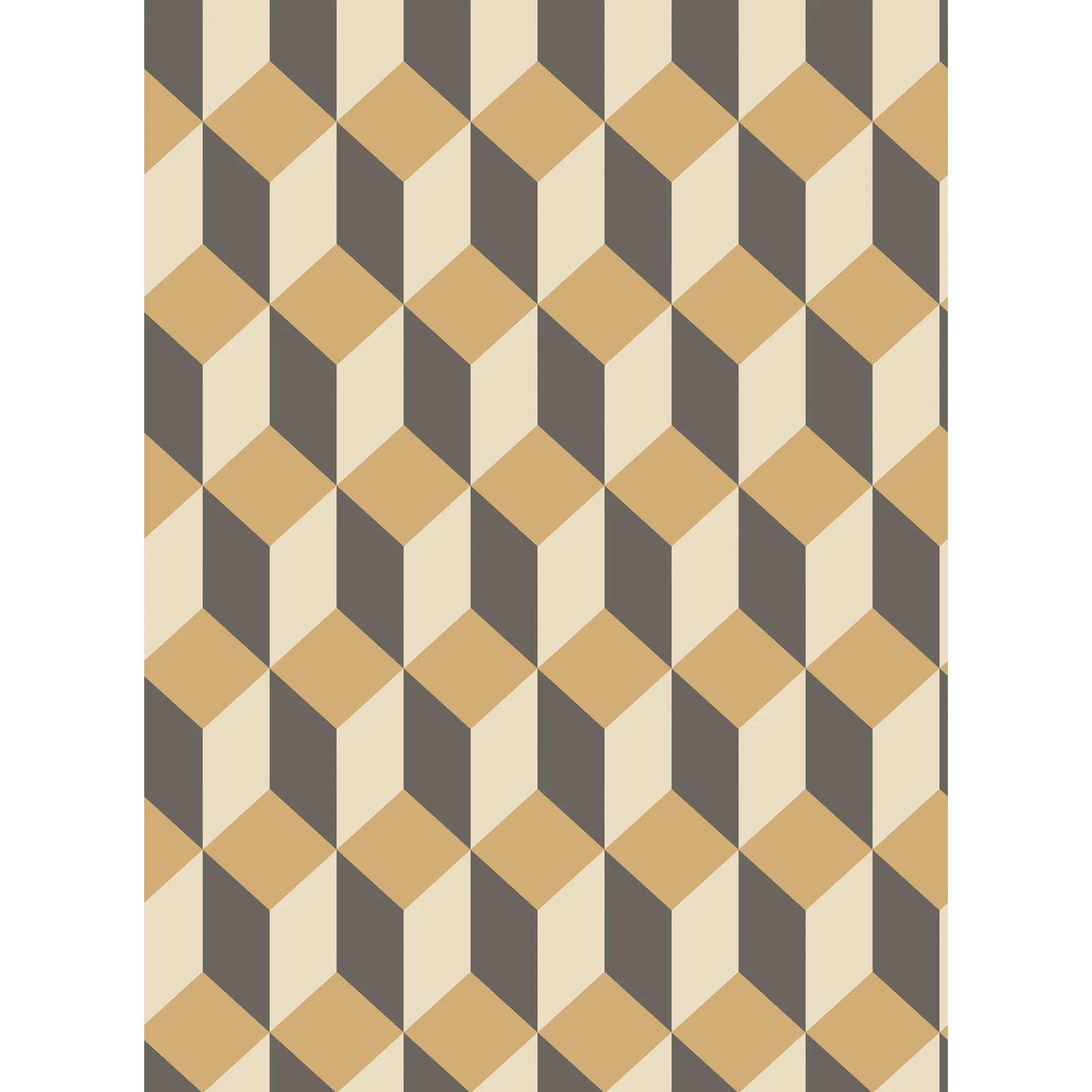 Cole & Son Delano in Gold and Black (105/7030.CS.0)