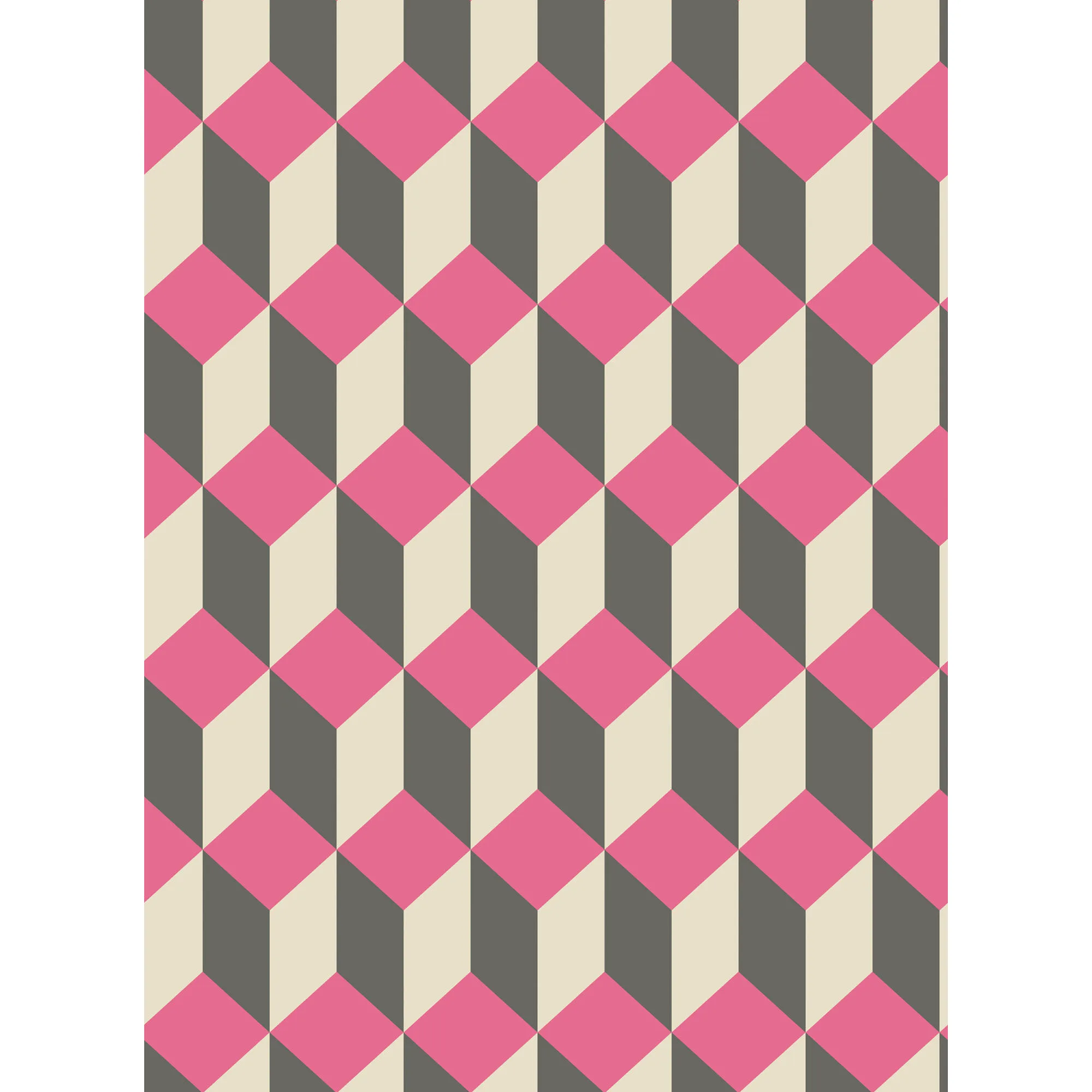 Cole & Son Delano in Pink and Black (105/7033.CS.0)
