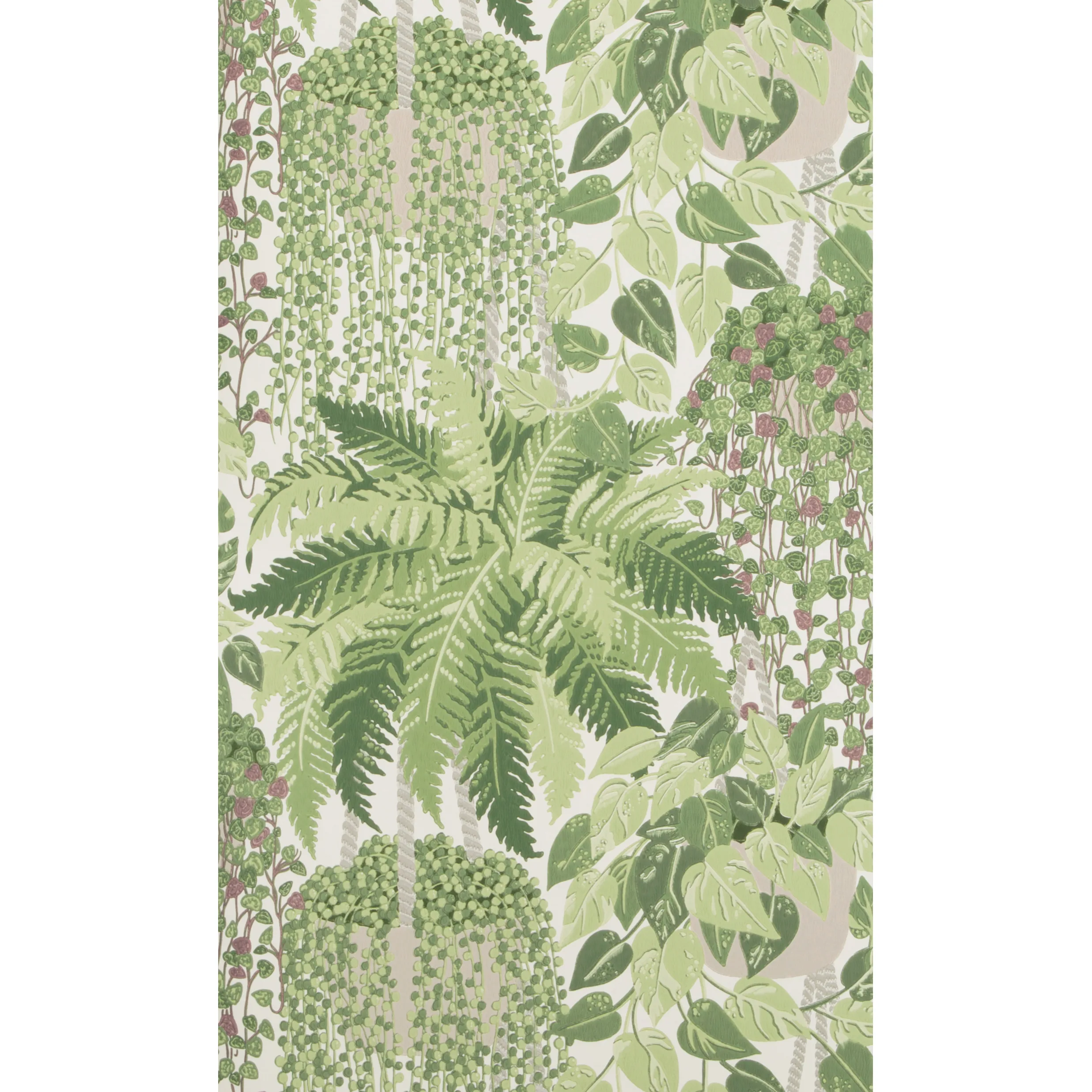 Cole & Son Fern in Leaf Green and Olive (115/7021.CS.0)
