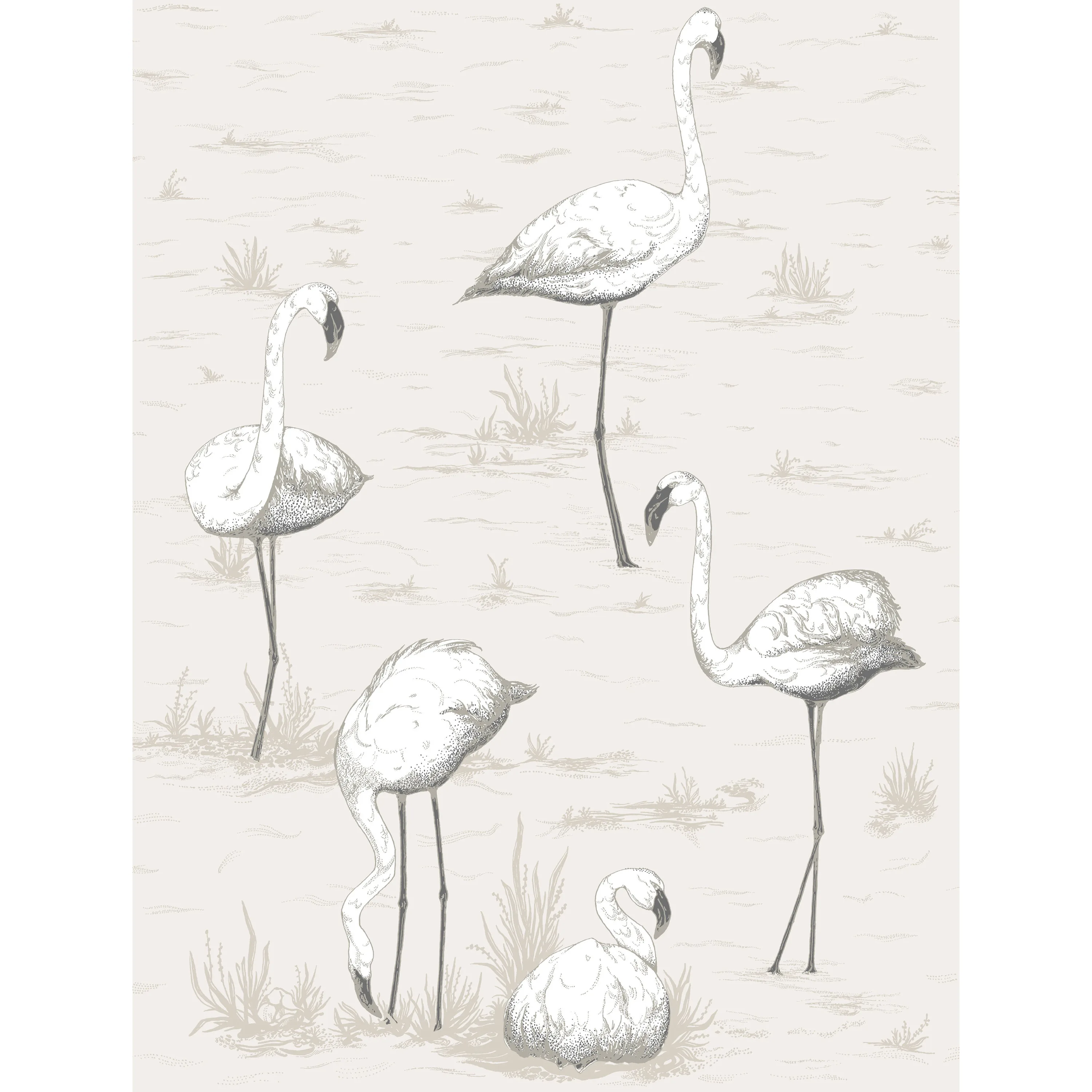 Cole & Son Flamingos in Charcoal/Wht (95/8046.CS.0)