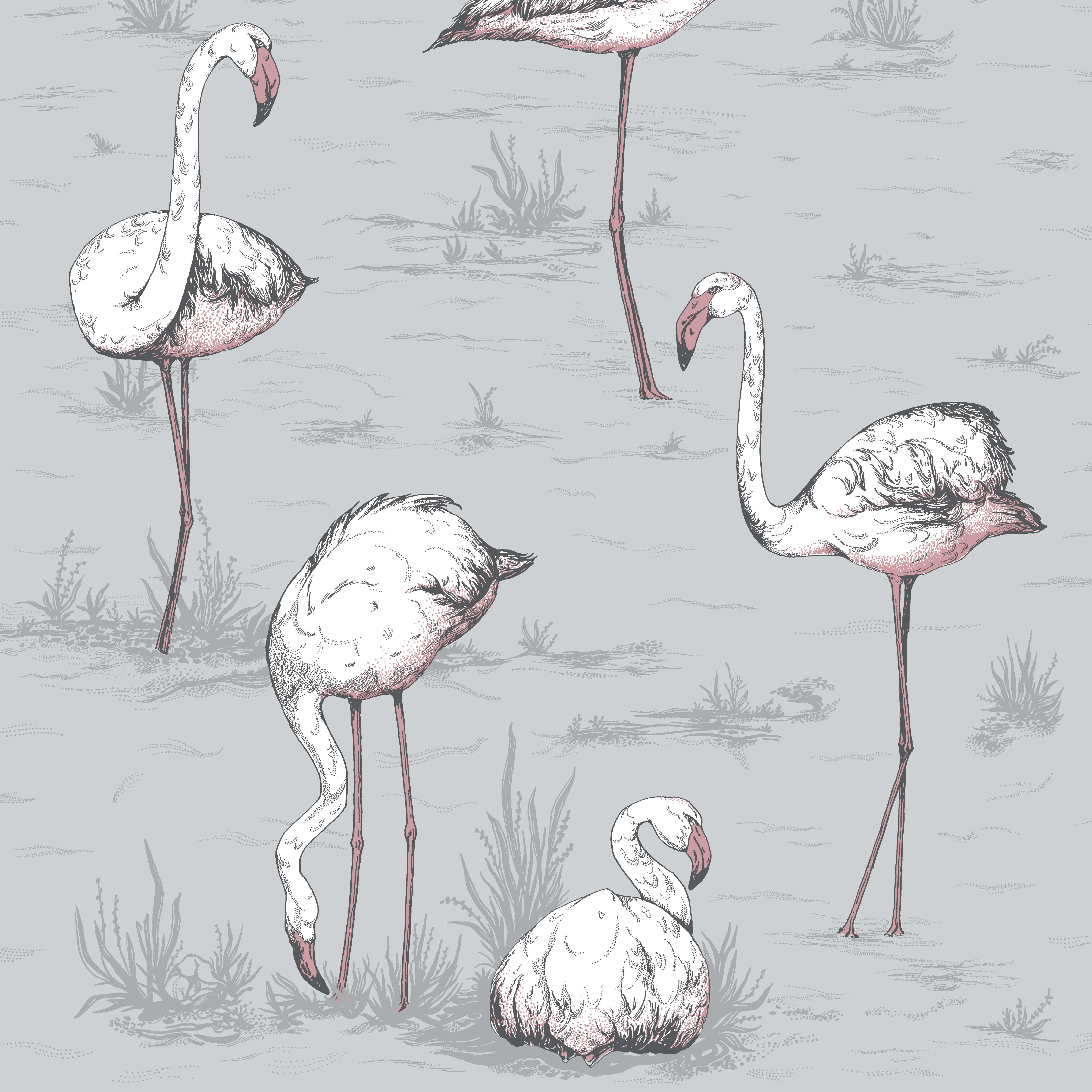 Cole & Son Flamingos in Grey (112/11040.CS.0)