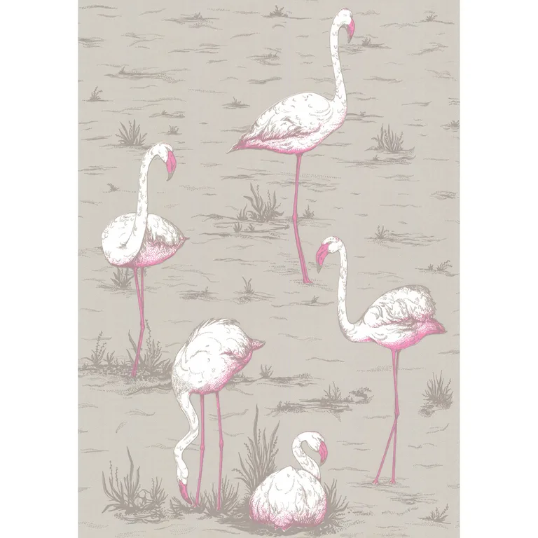 Cole & Son Flamingos in Grey (66/6042.CS.0)