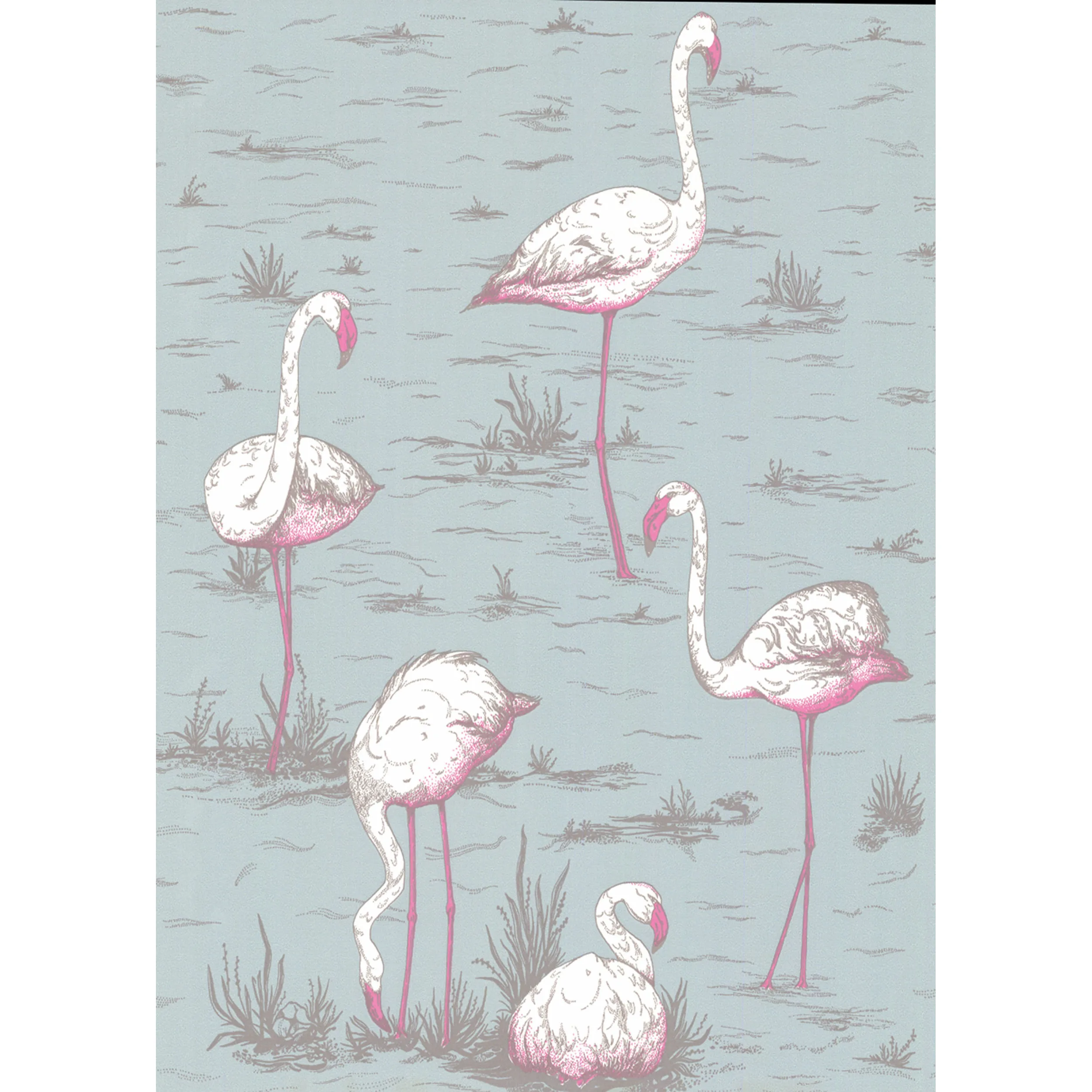 66/6044.CS.0 | Flamingos – Oale Bl