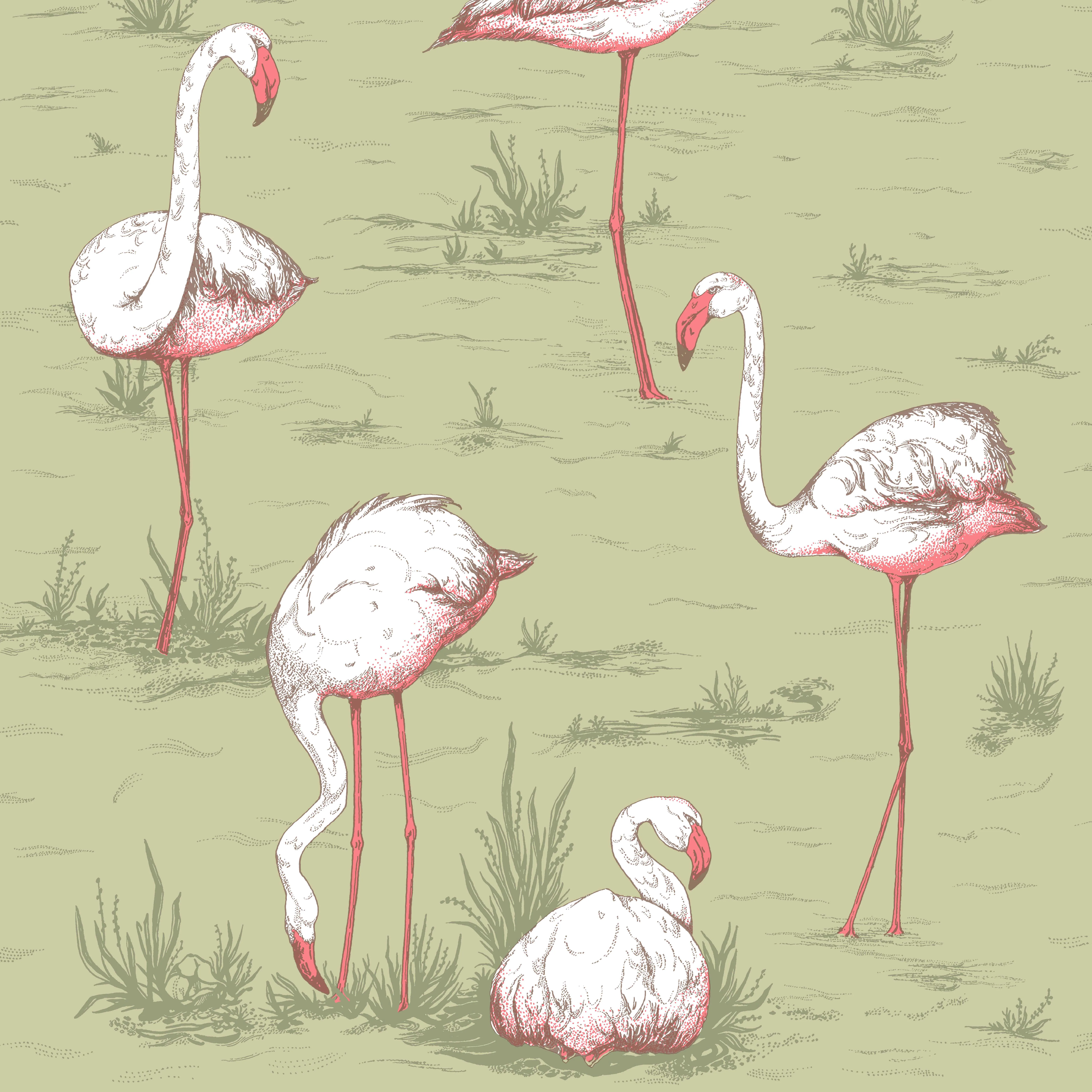 Cole & Son Flamingos in Olive (112/11038.CS.0)