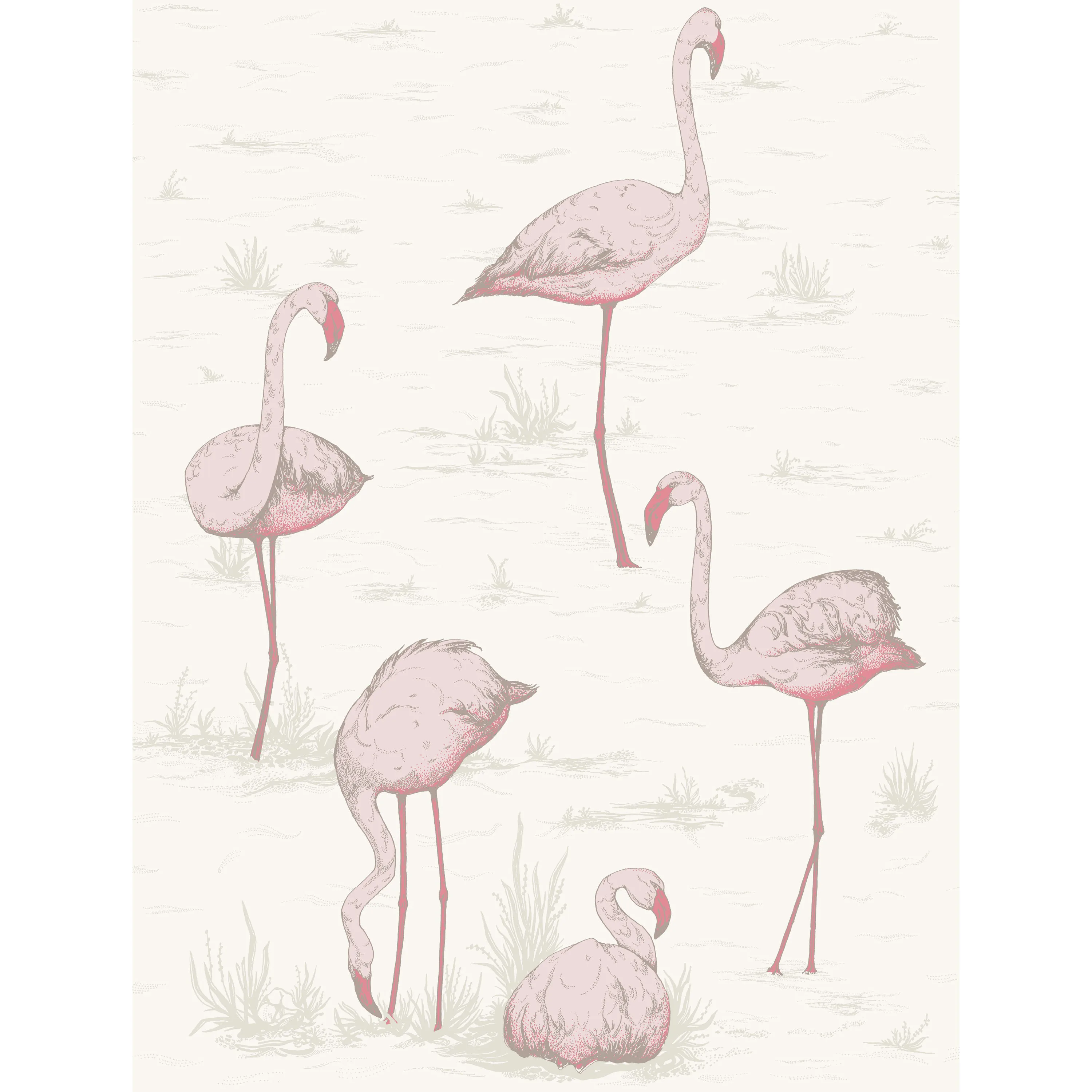 Cole & Son Flamingos in Pink/White (95/8045.CS.0)