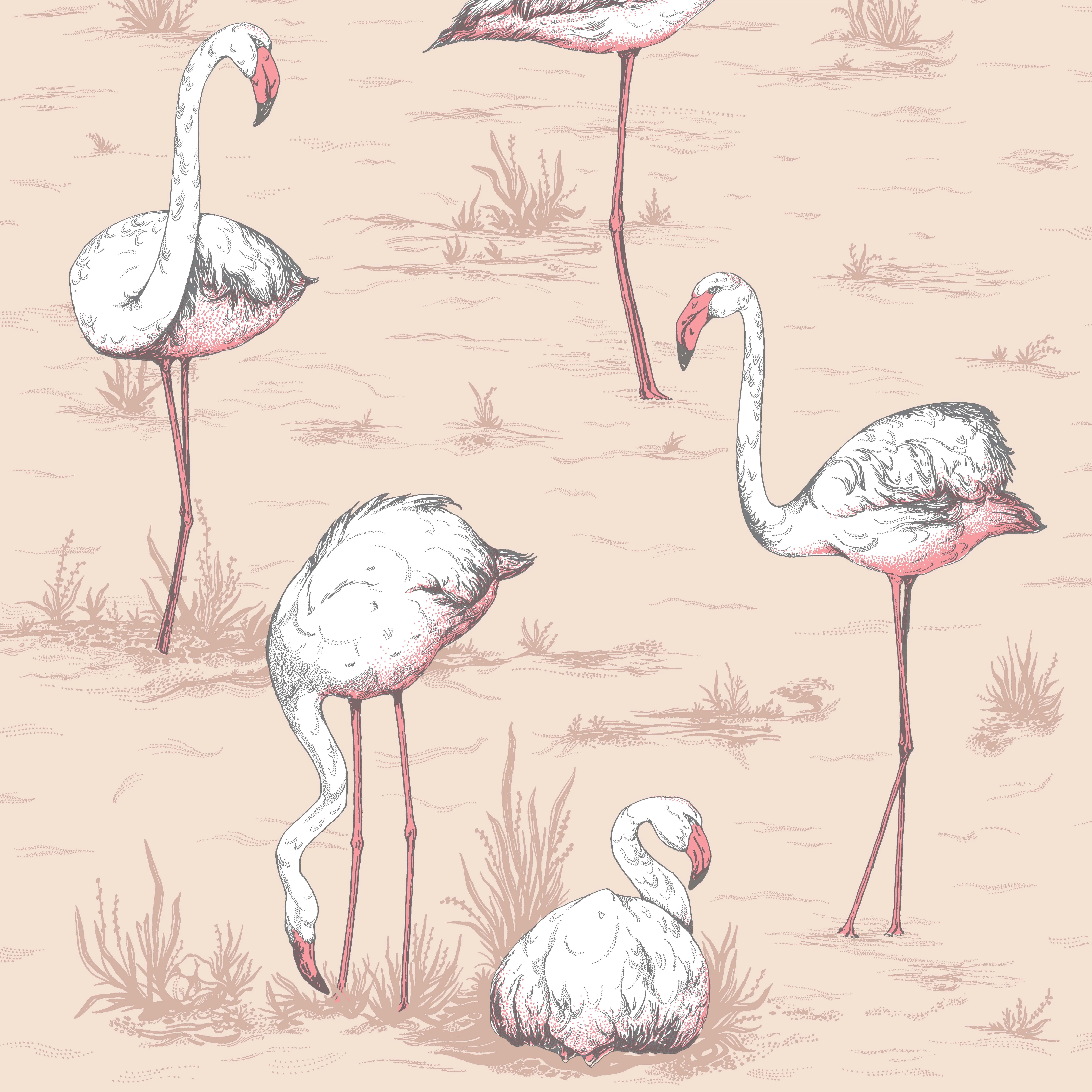 Cole & Son Flamingos in Plaster Pink (112/11039.CS.0)