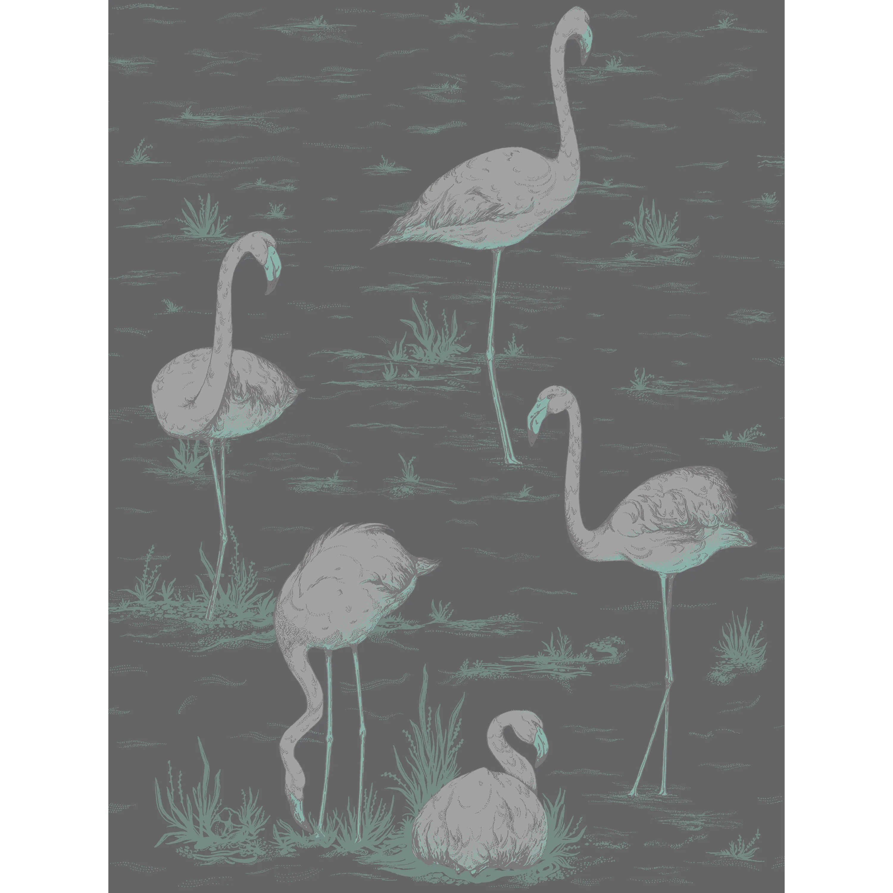 Cole & Son Flamingos in Teal/Slvr/Bk (95/8048.CS.0)