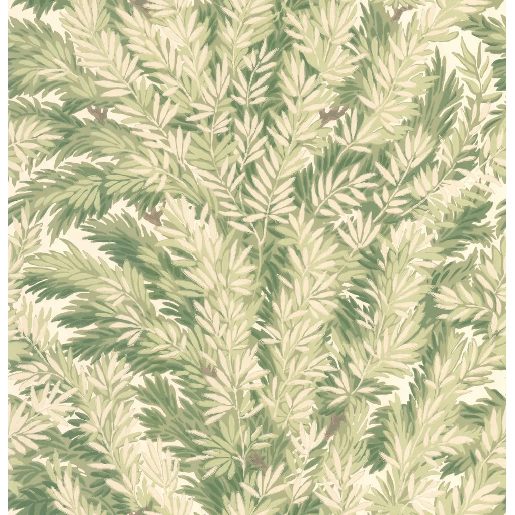 Cole & Son Florencecourt in Olive (100/1003.CS.0)