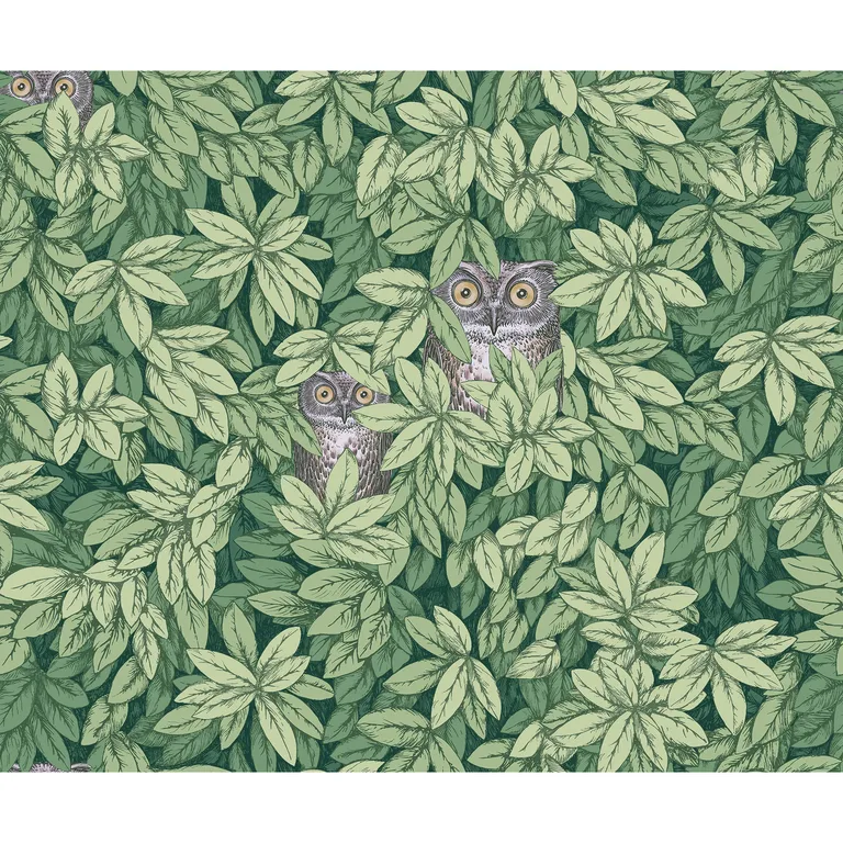Cole & Son Foglie E Civette in Green (123/11054.CS.0)