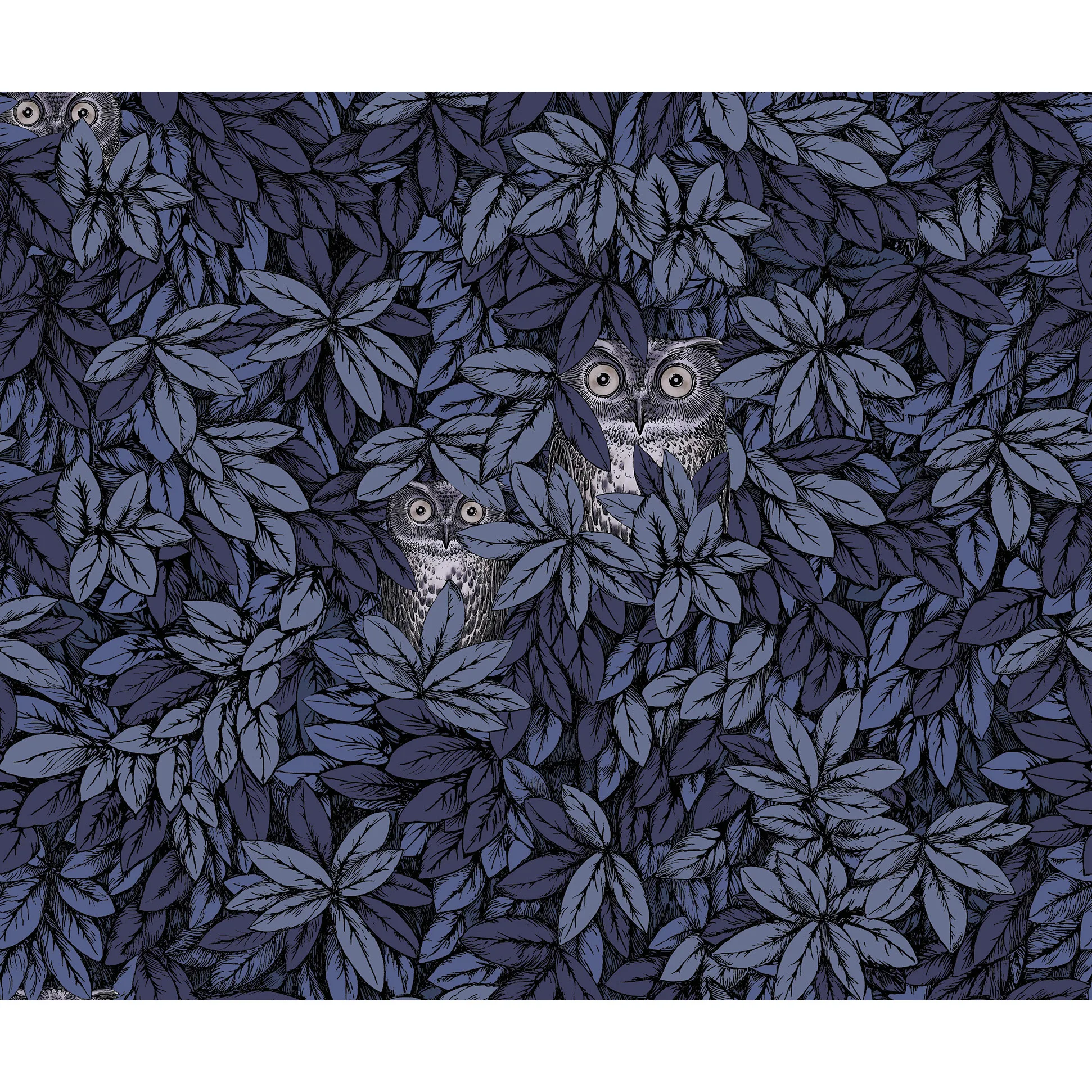 123/11053.CS.0 | Foglie E Civette – Midnight
