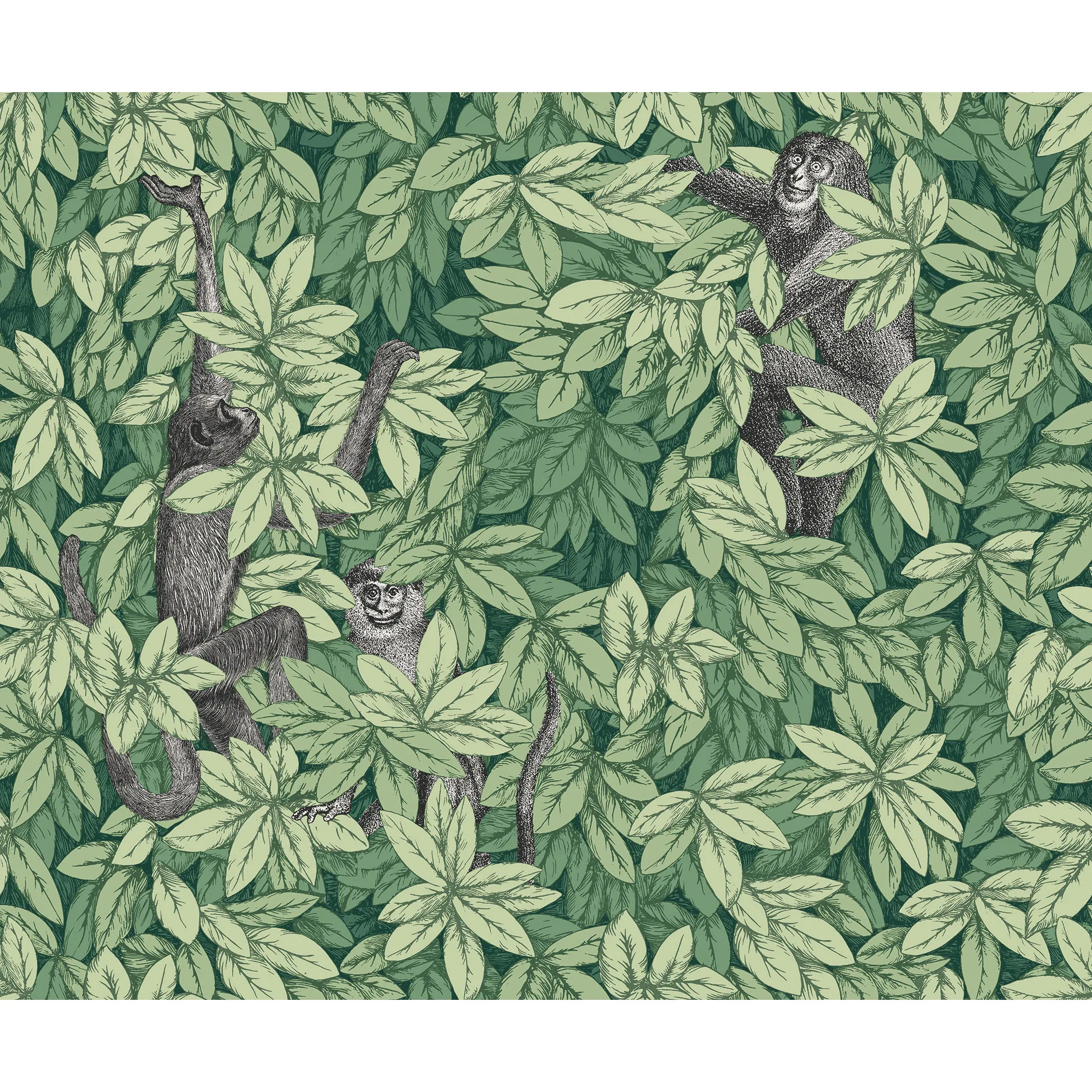 Cole & Son Foglie E Scimmie in Green (123/10049.CS.0)