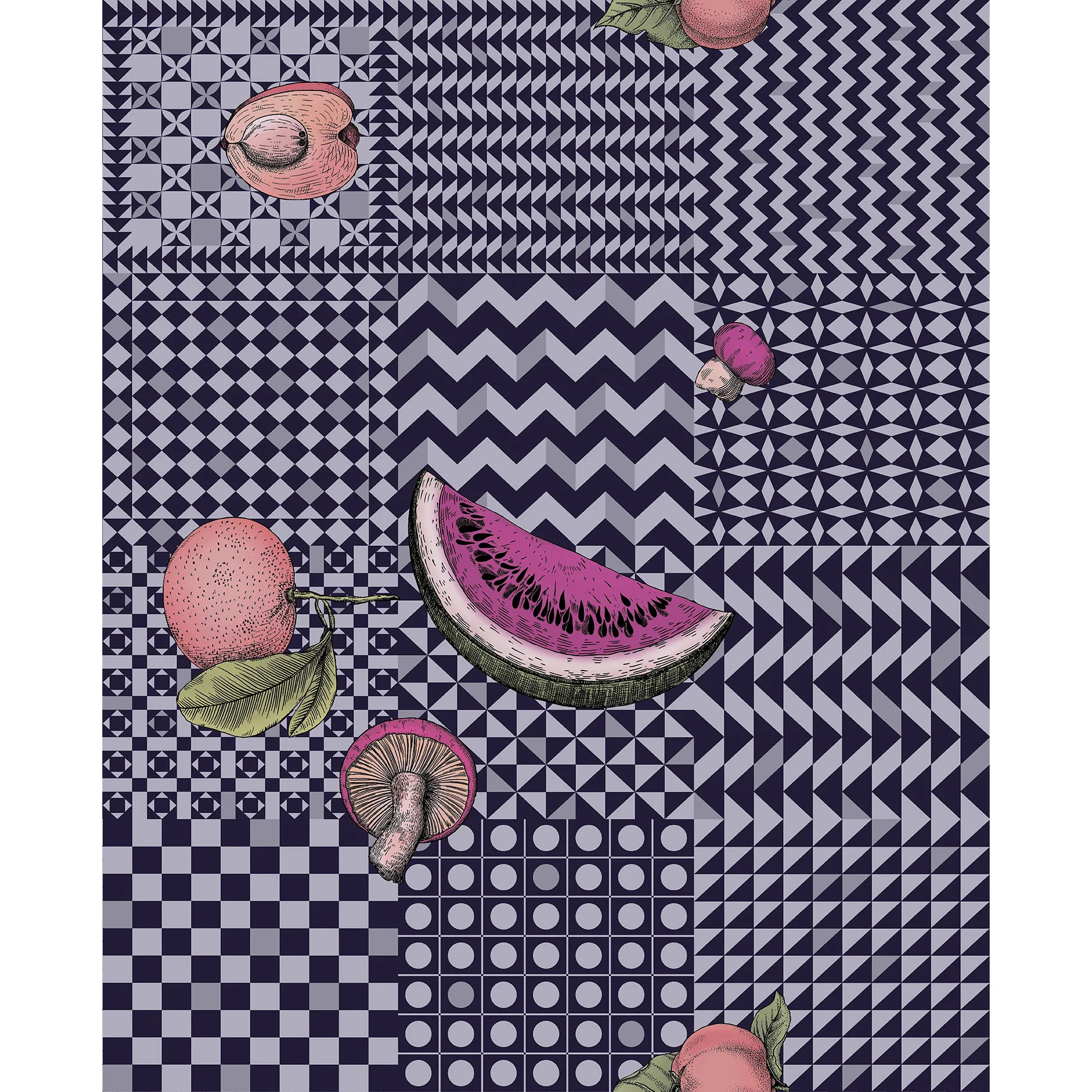 123/6028.CS.0 | Frutta E Geometrico – Ink