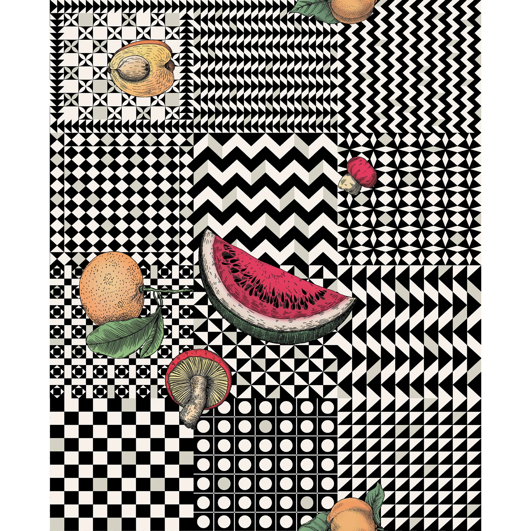 Cole & Son Frutta E Geometrico in Multi (123/6027.CS.0)