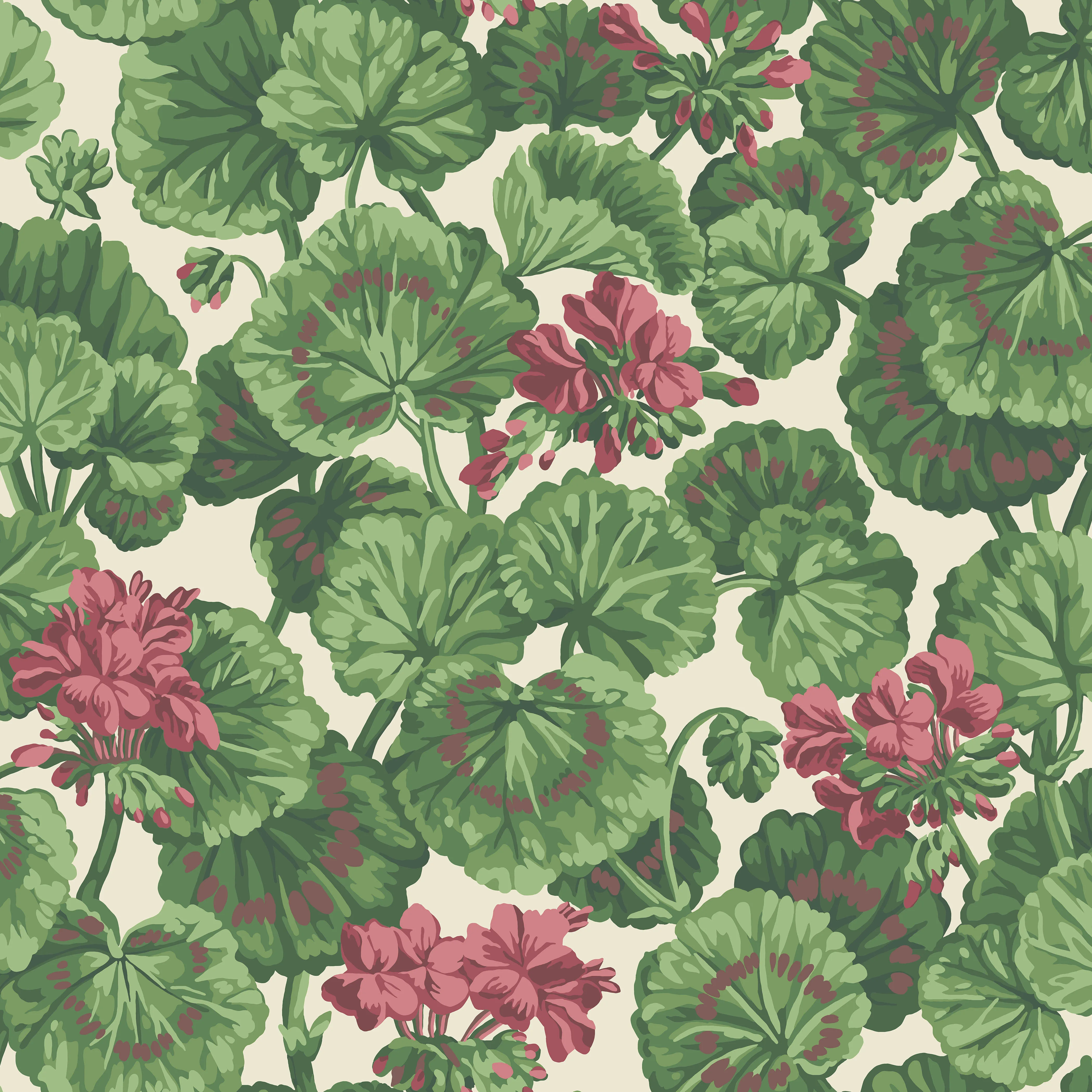 Cole & Son Geranium in Rose/Forest Grn on Parchment (117/11034.CS.0)