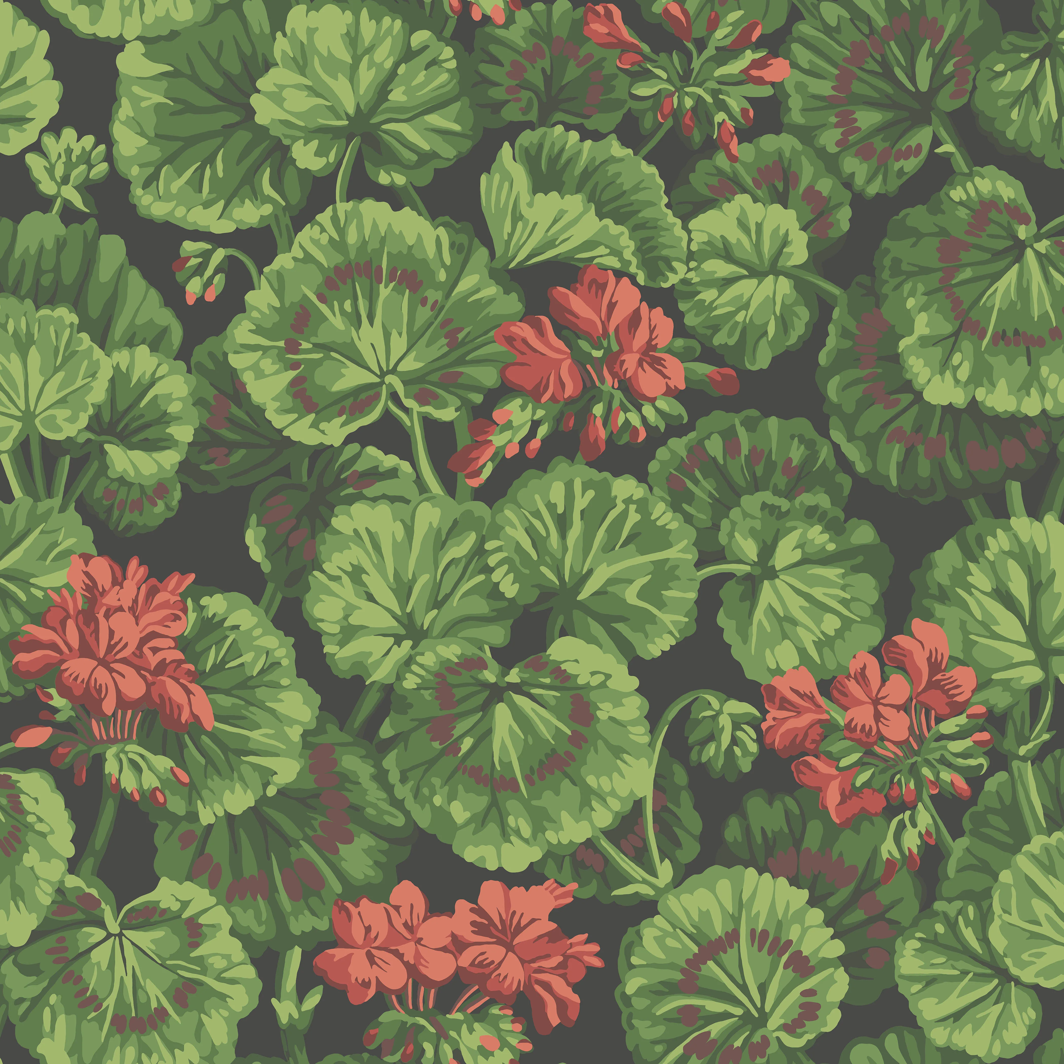 Cole & Son Geranium in Rouge & Leaf Greens on Black (117/11033.CS.0)