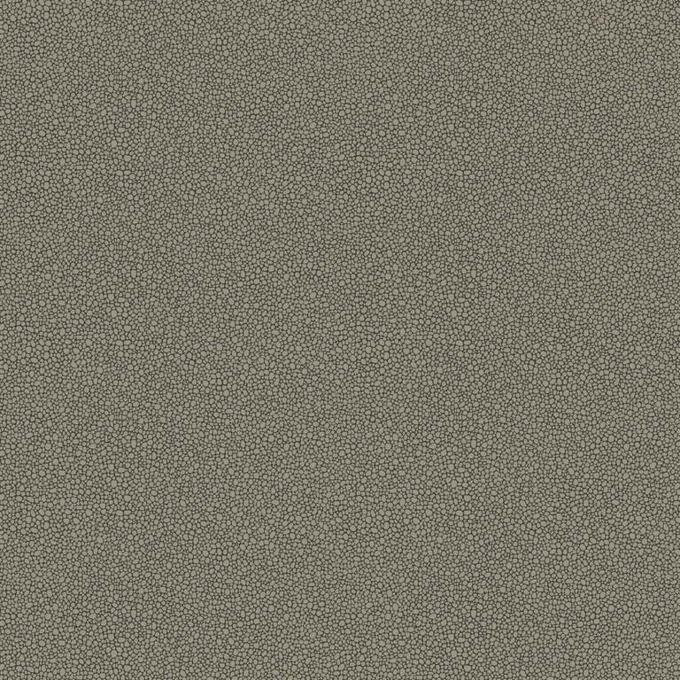 Cole & Son Goldstone in Black & Silver (107/9043.CS.0)