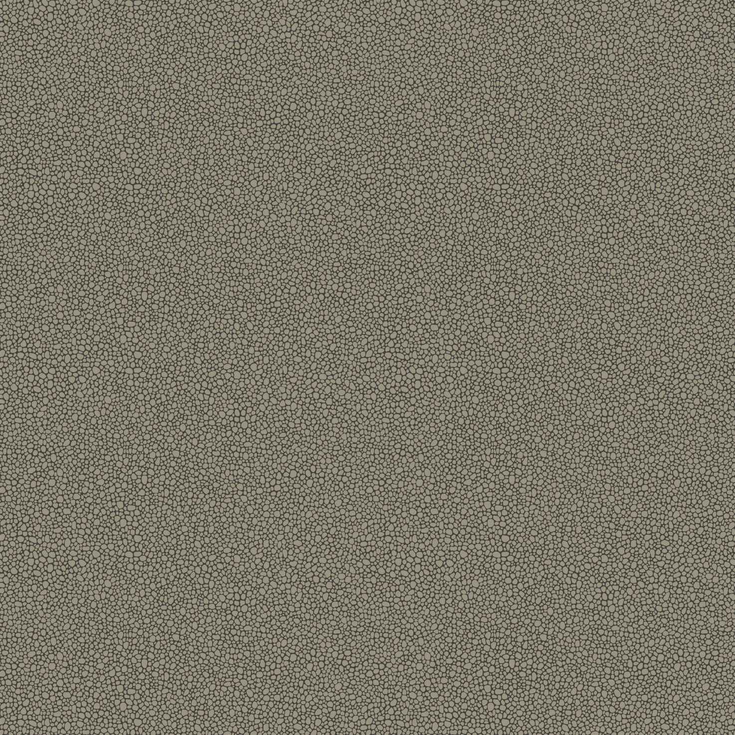 Cole & Son Goldstone in Black & Silver (107/9043.CS.0)