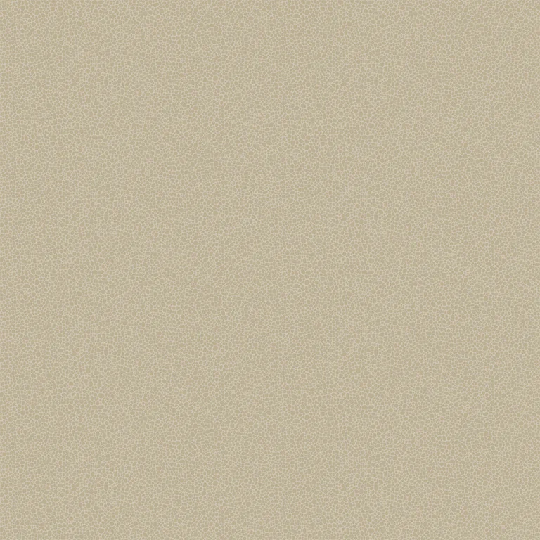 Cole & Son Goldstone in Stone & Gilver (107/9042.CS.0)